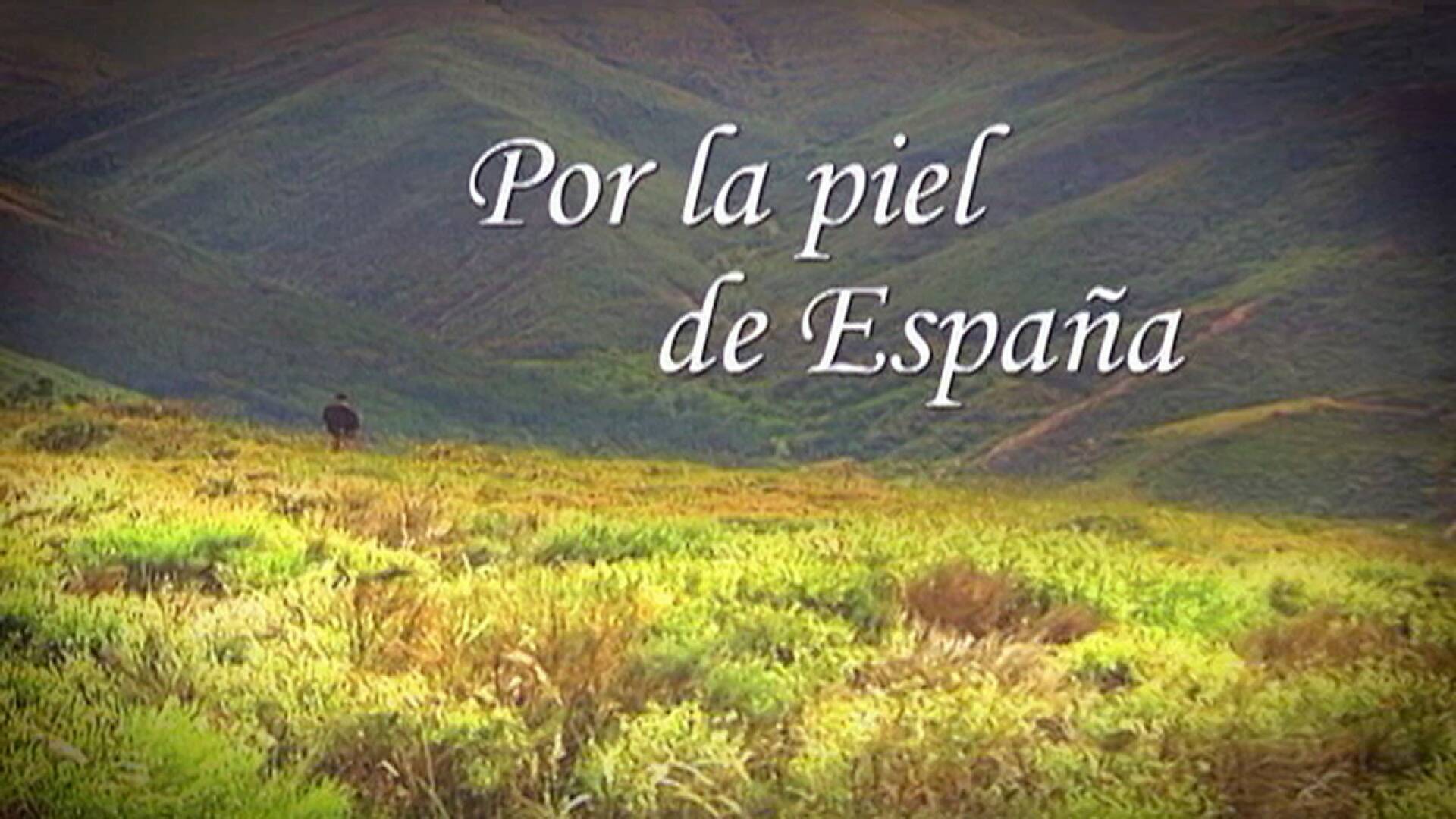 Por la piel de España