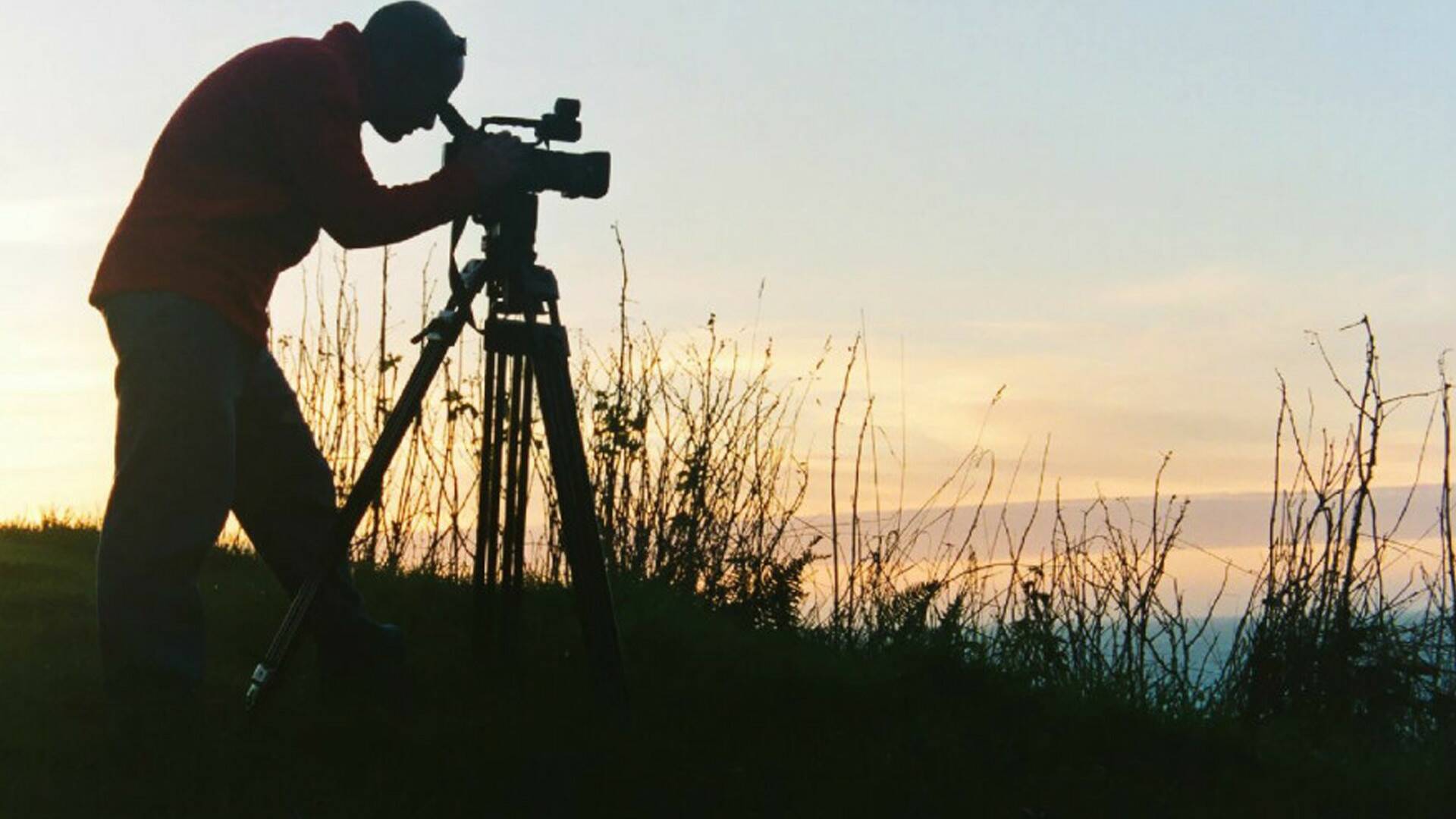 Pirineum: Los Pirineos