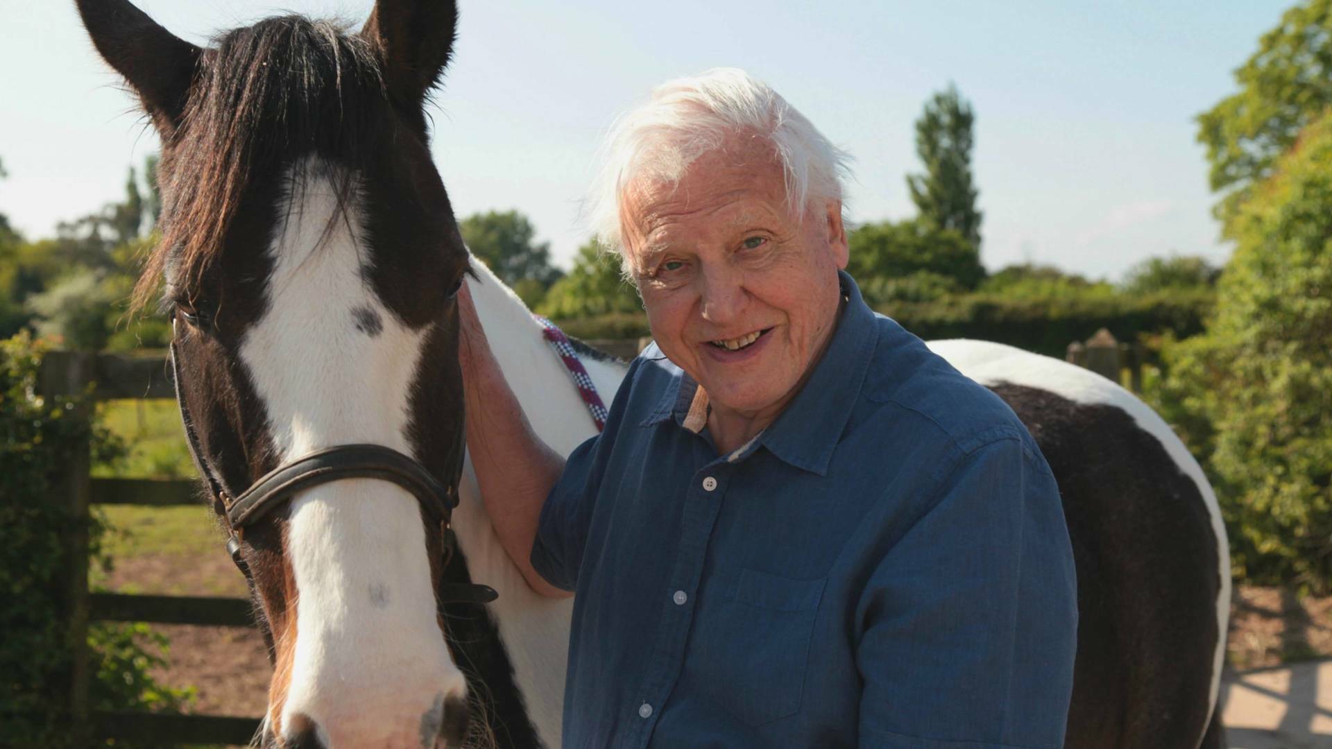 Curiosidades de la naturaleza con David Attenborough