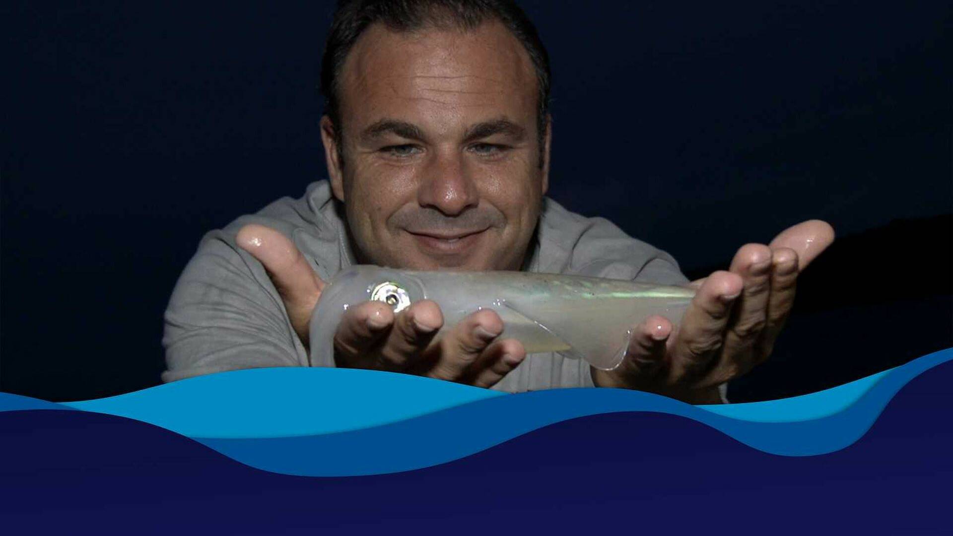 El chef del mar: Doñana