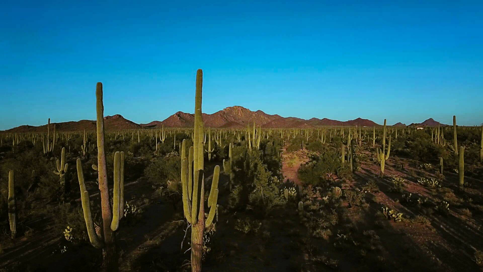 Mèxic indòmit: Els ràpids i els morts