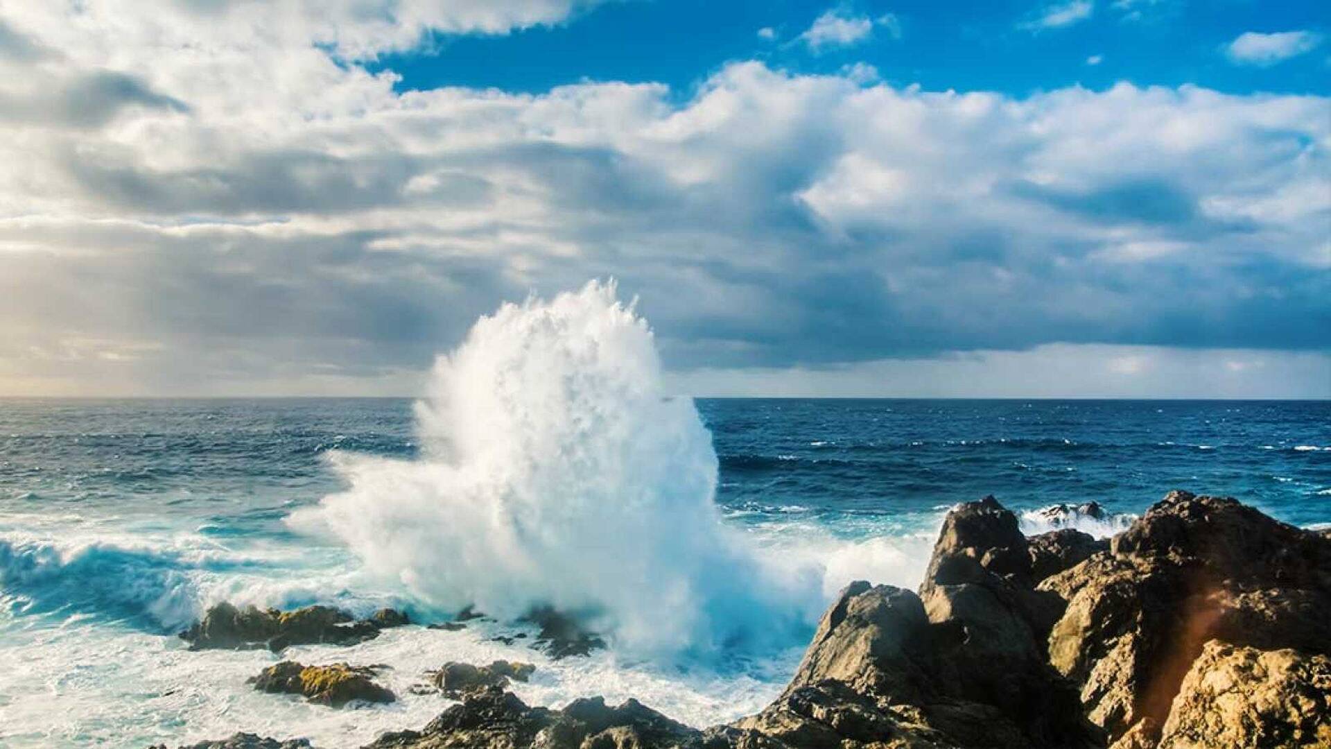 El Salvaje Mar Báltico