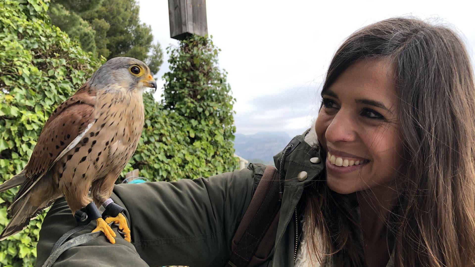 ¡Qué animal! (T4): Fósiles vivientes