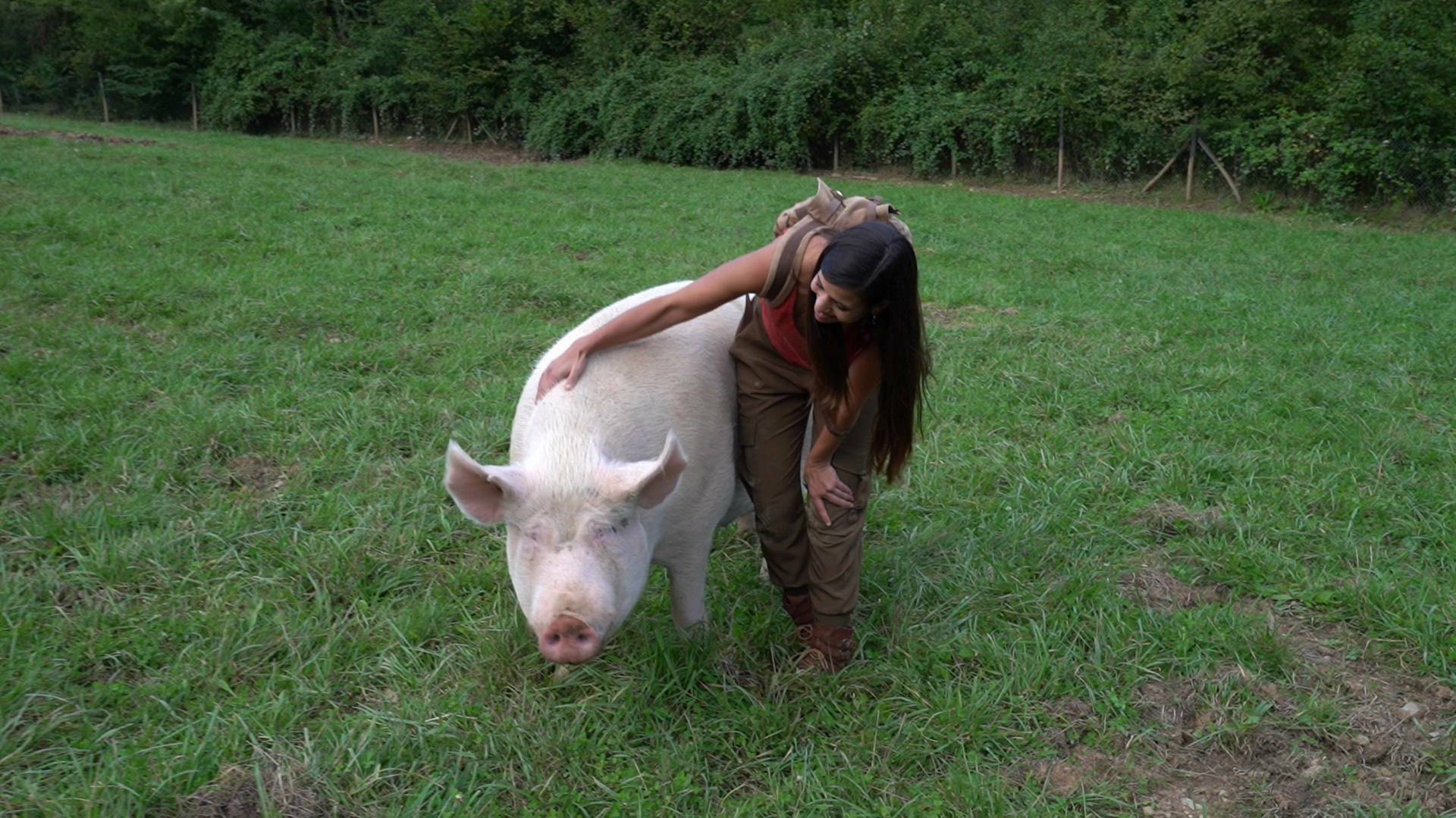 ¡Qué animal! (T5): Pieles