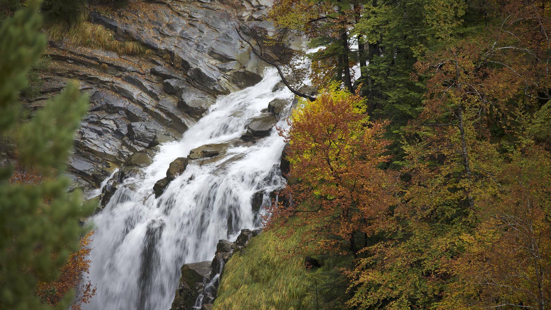 De parque en parque: Parque Nacional Sierra de Guadarrama