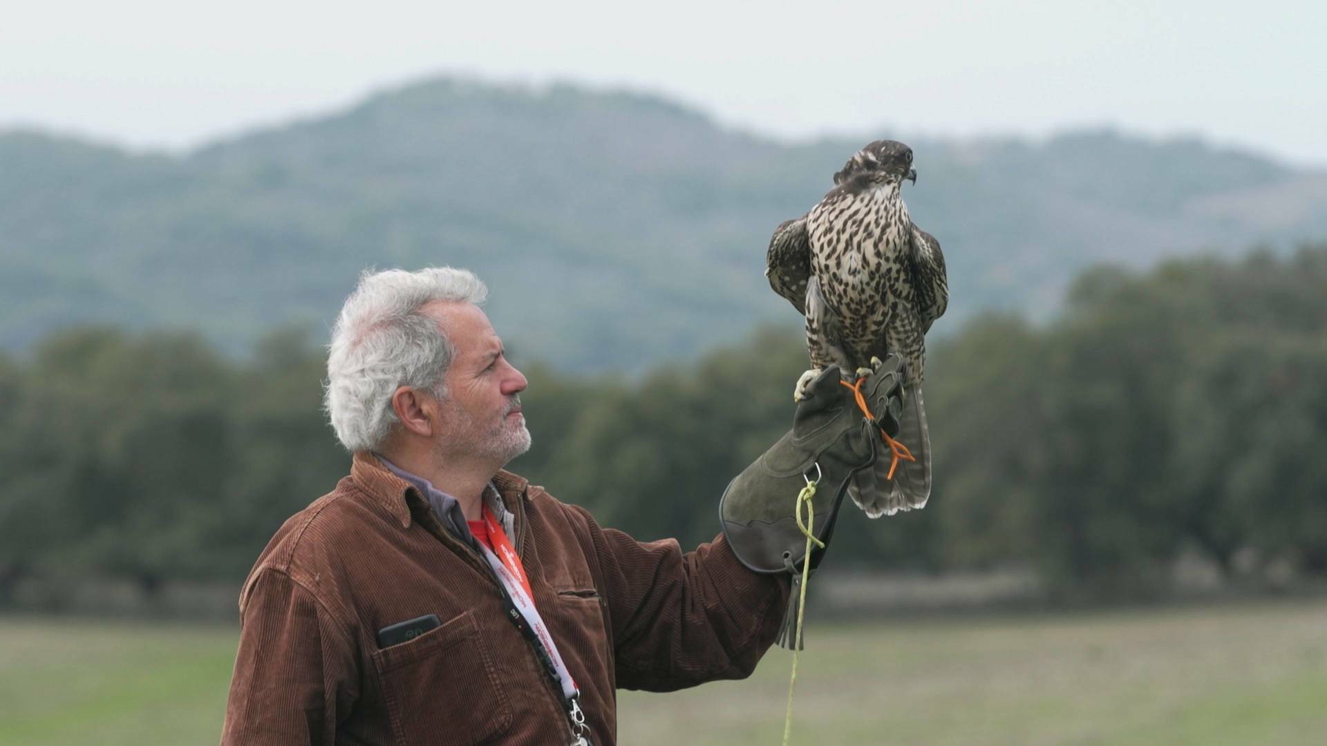 Ruralitas: Zabal (Navarra) y Villar del Buey (Zamora)