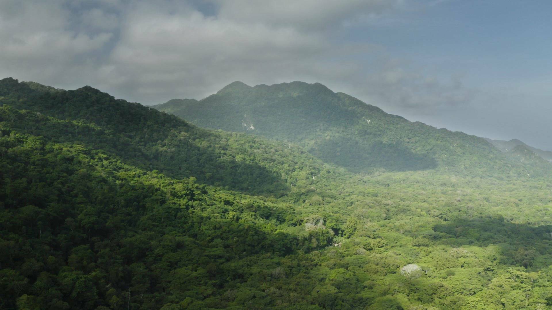 Tayrona