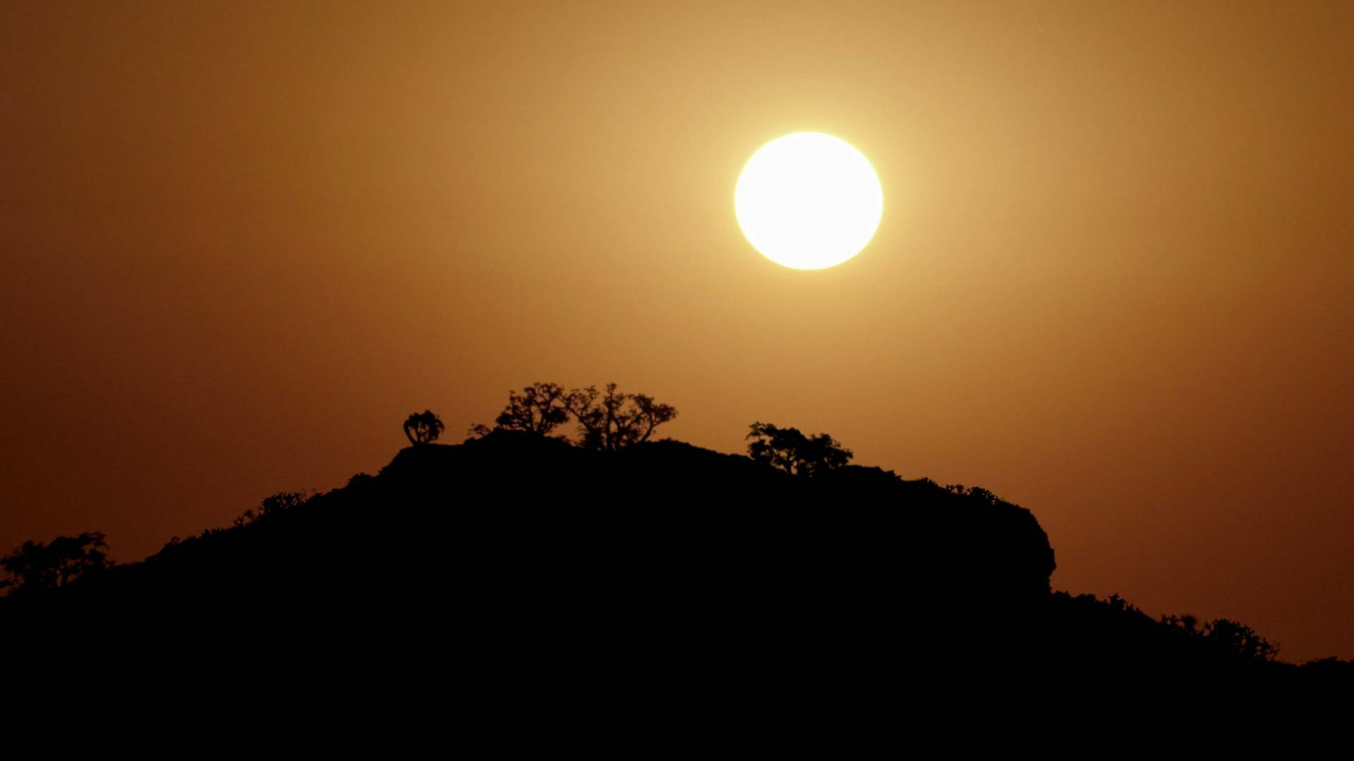 Los reinos del sol
