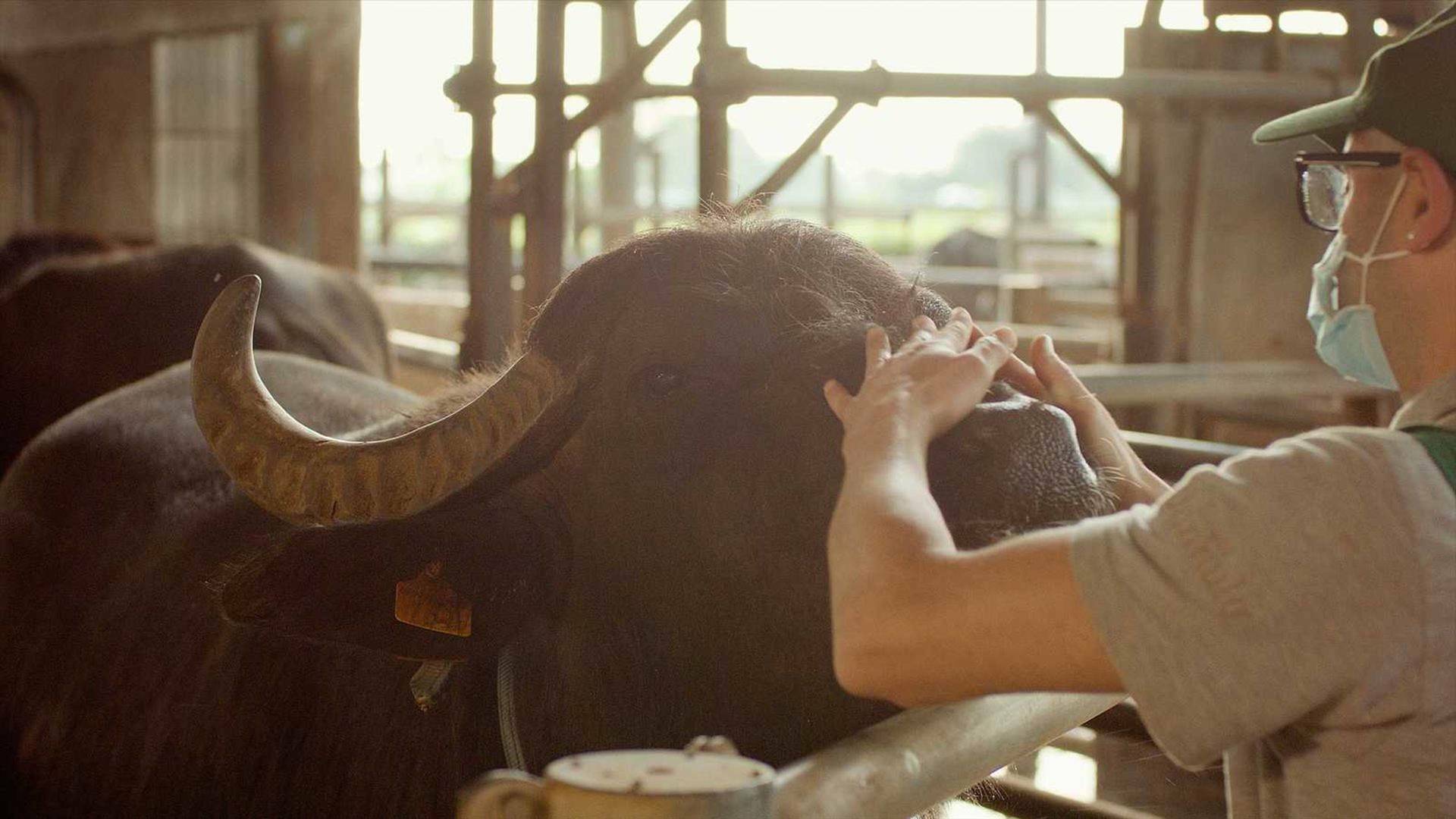 La italia que gusta: Territorios