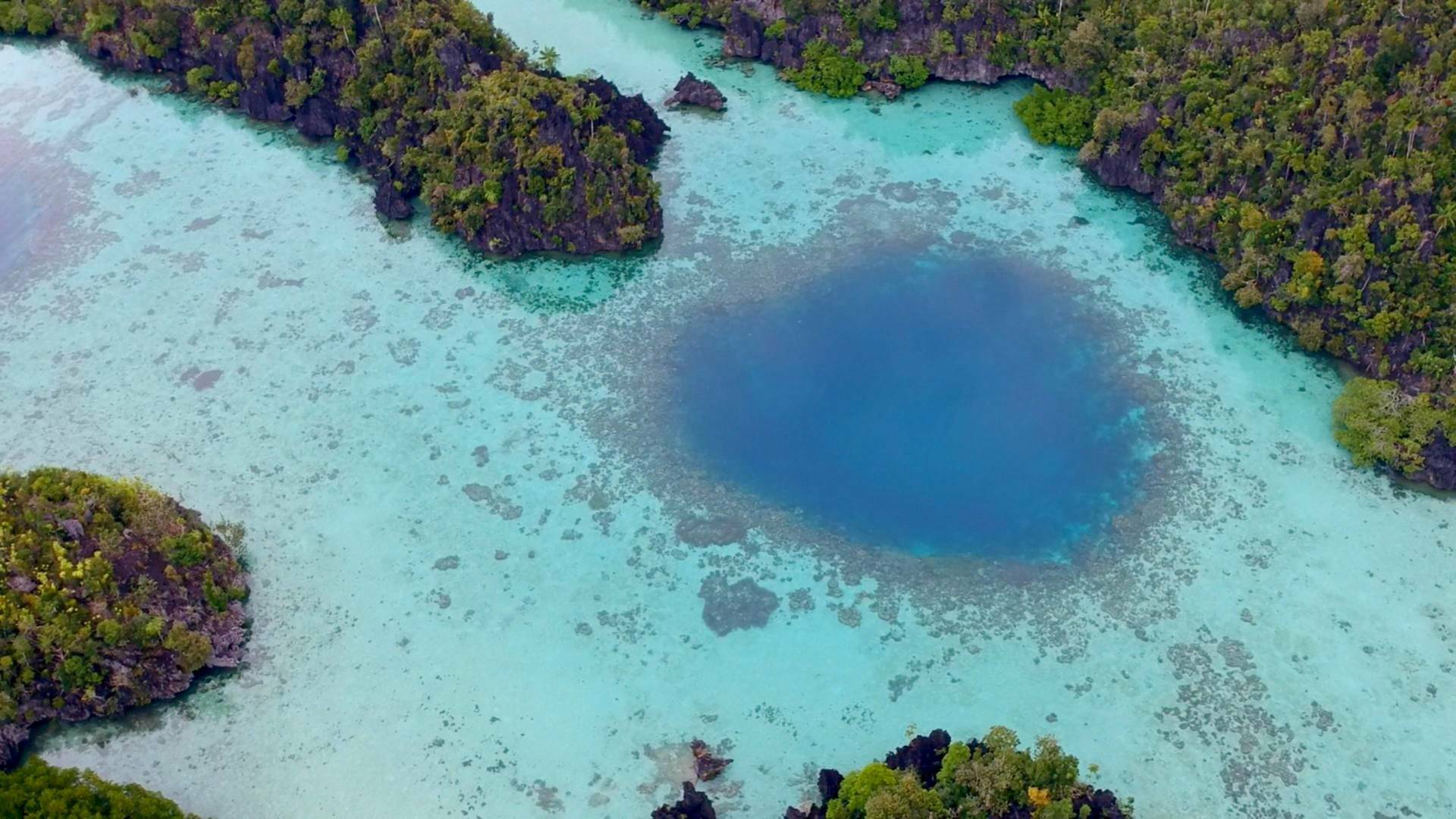 El círculo mágico del arrecife