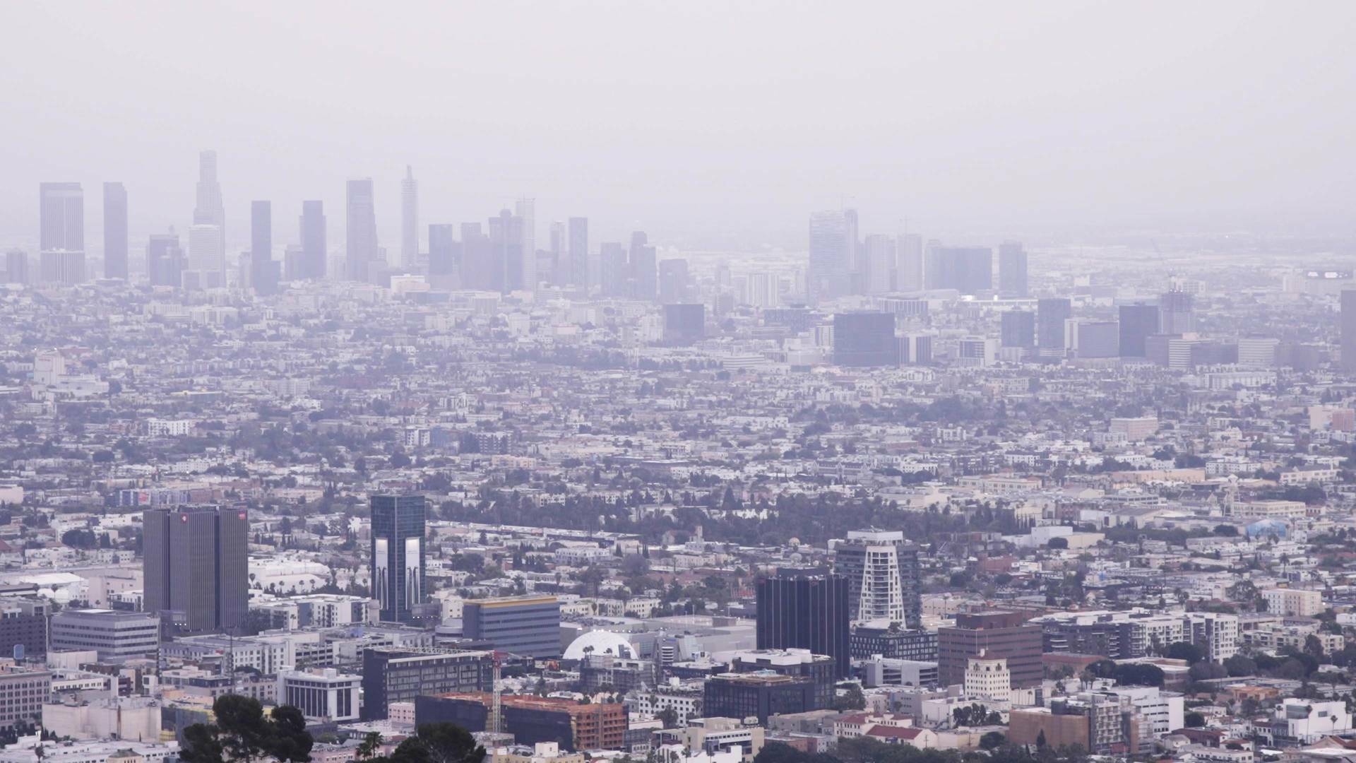 Soylent Green: alerta roja