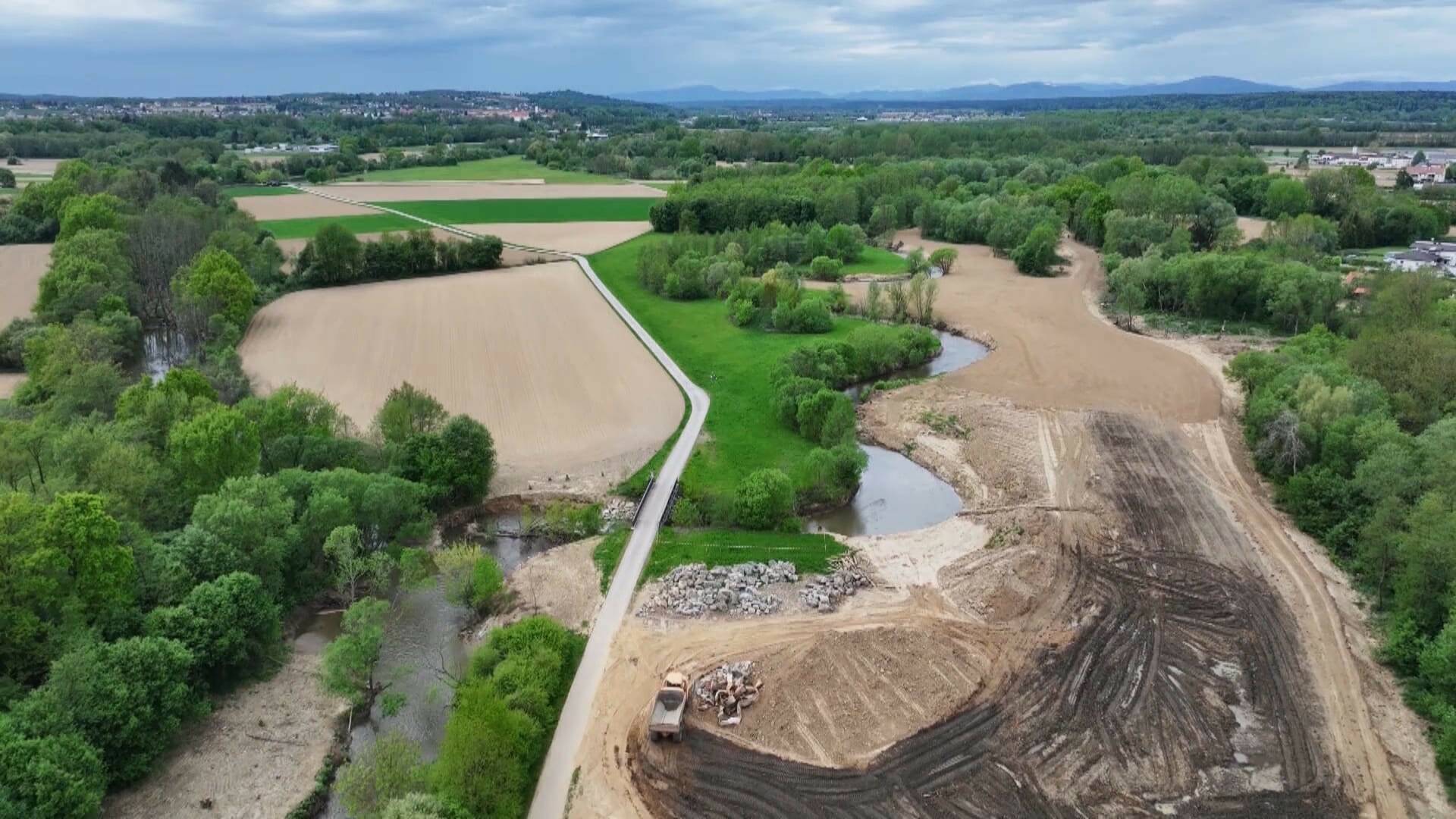 El escarabajo verde: Ley de la Restauración de la Naturaleza