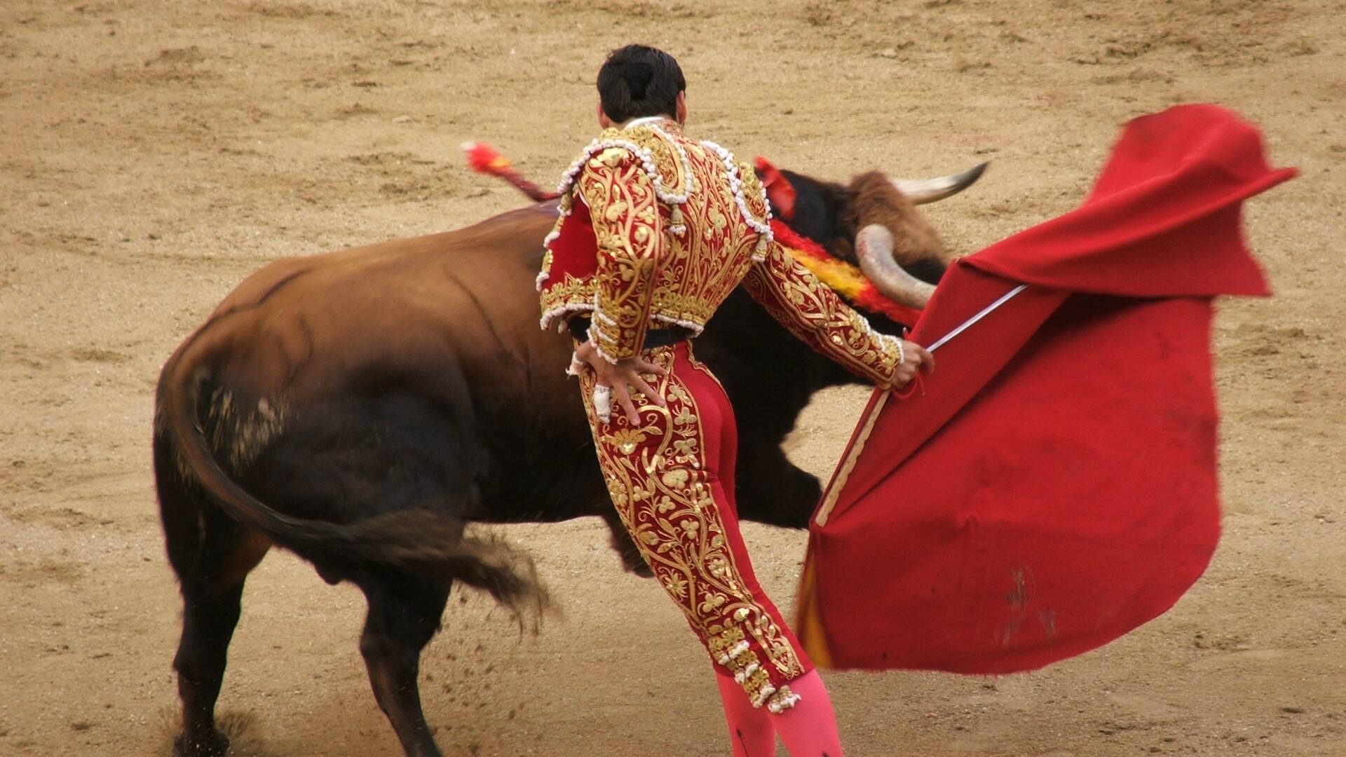 Tendido cero (T24/25): Ep.39