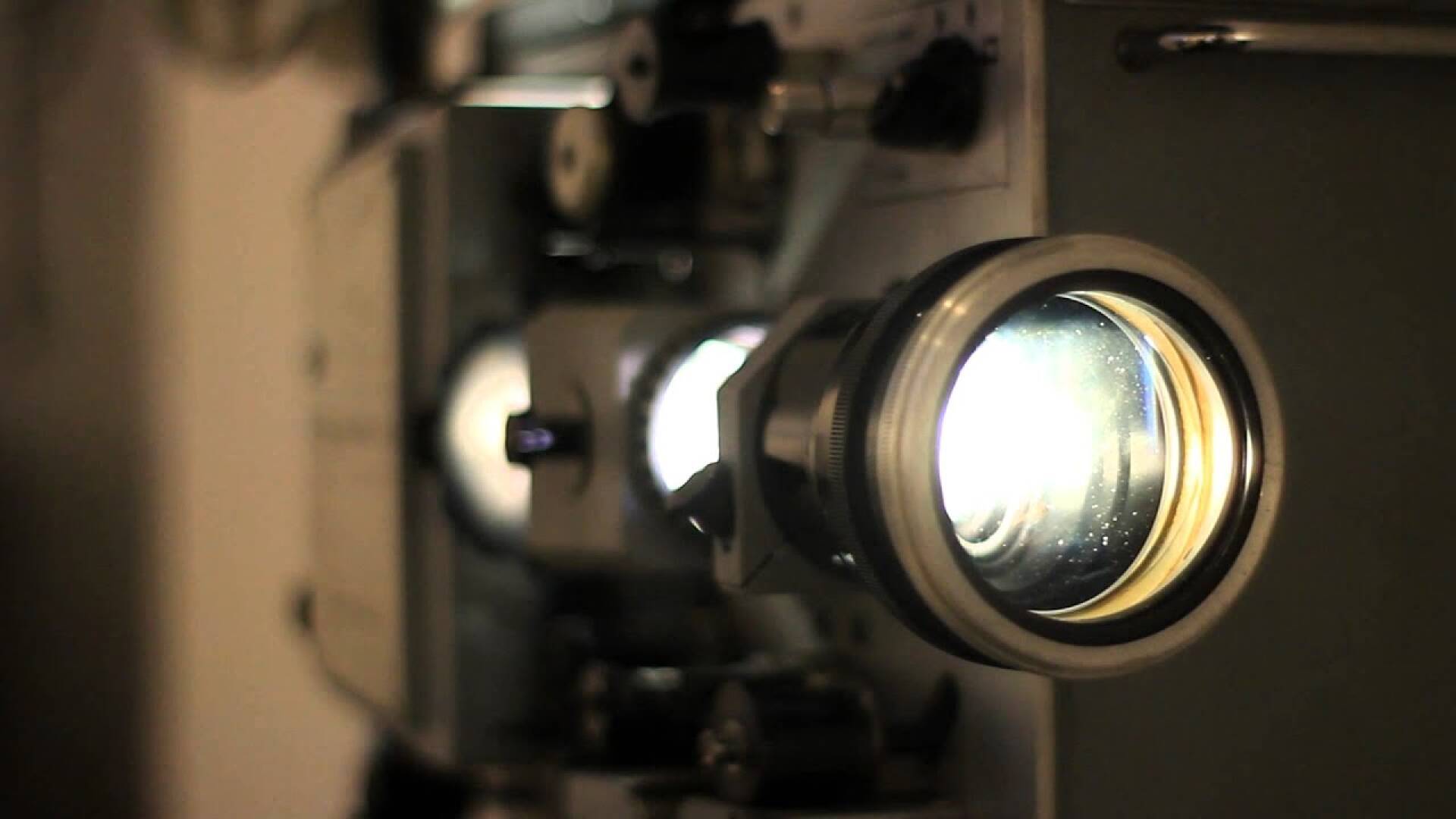 Las focas: Los payasos del mar