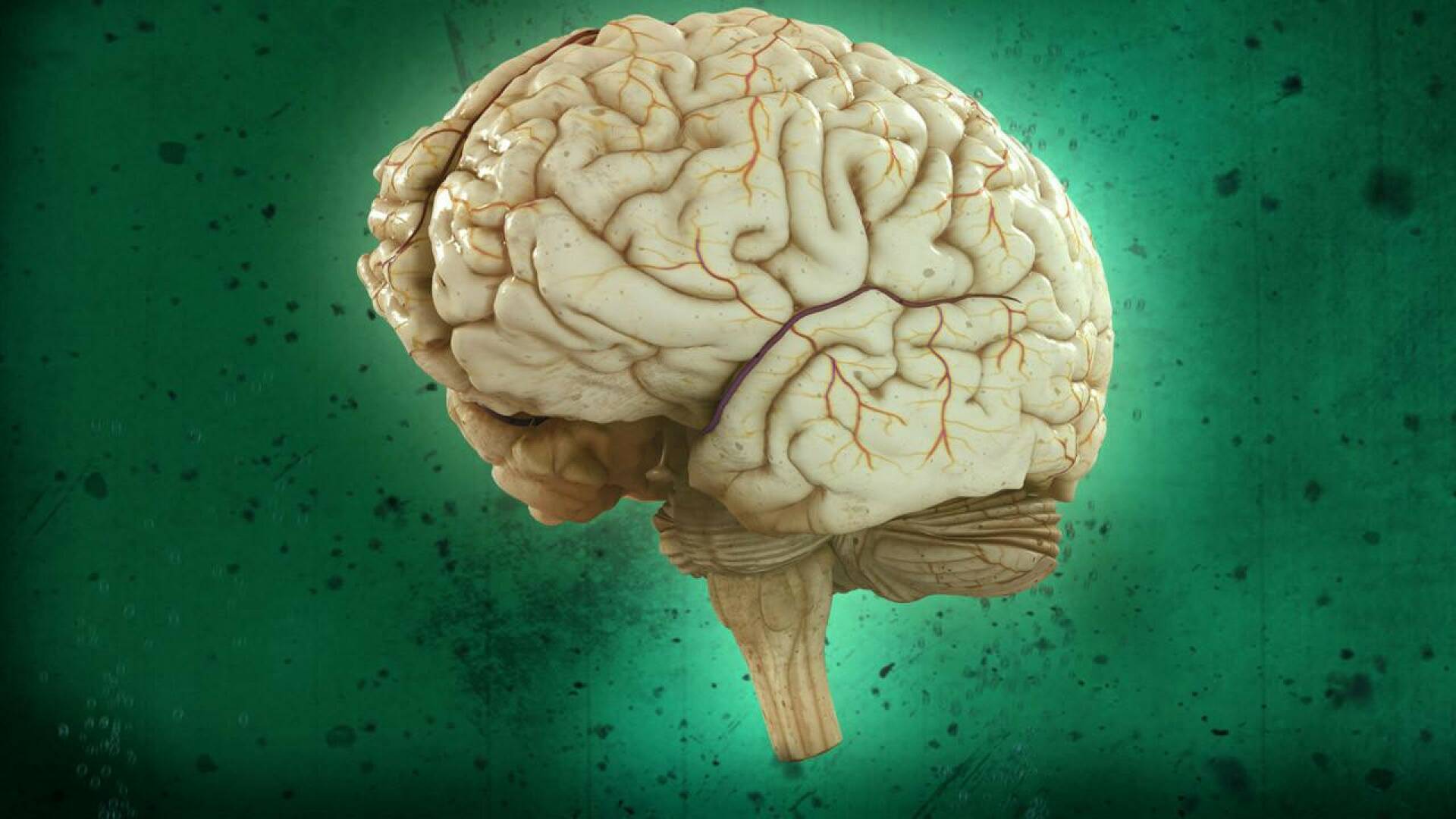 Pon a prueba tu cerebro 