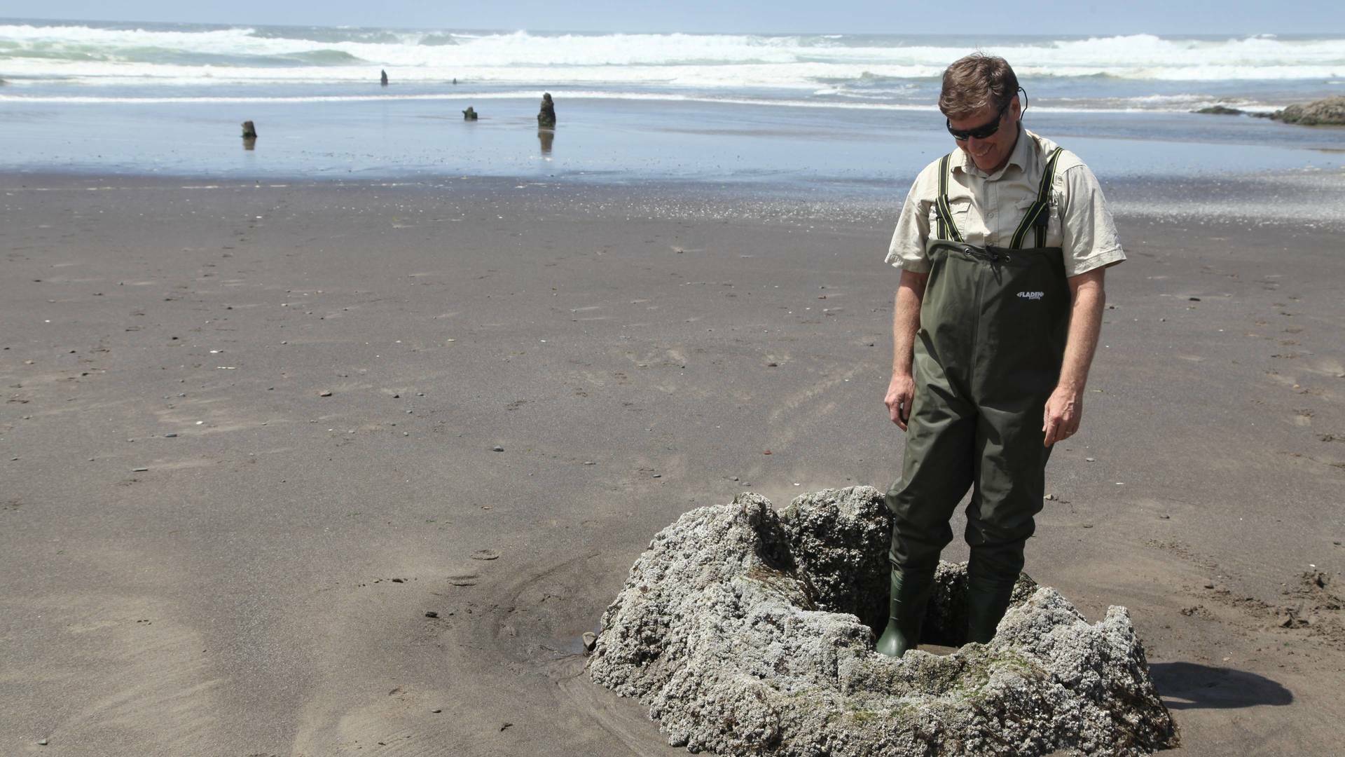 El próximo Tsunami gigante