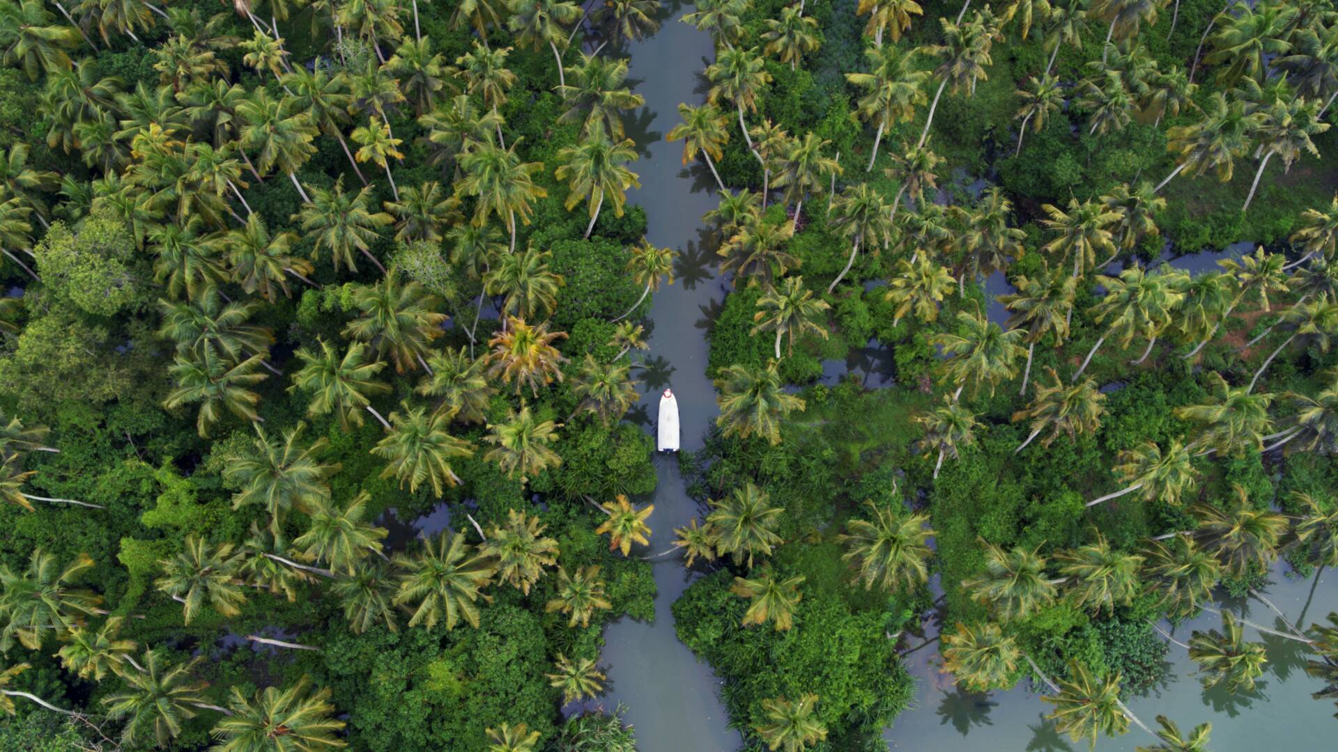 India desde el cielo: Mística y moderna