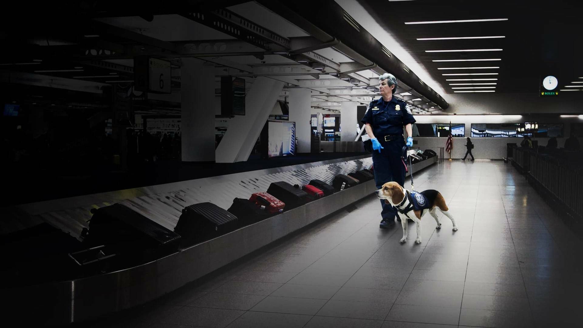 Control de...: Un túnel desde Tijuana