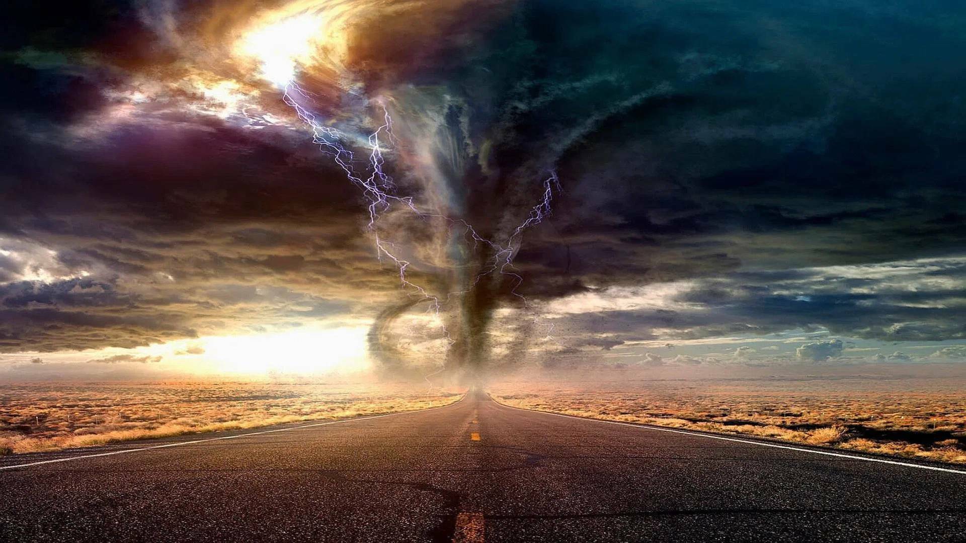 Tras el desastre: Expediciones