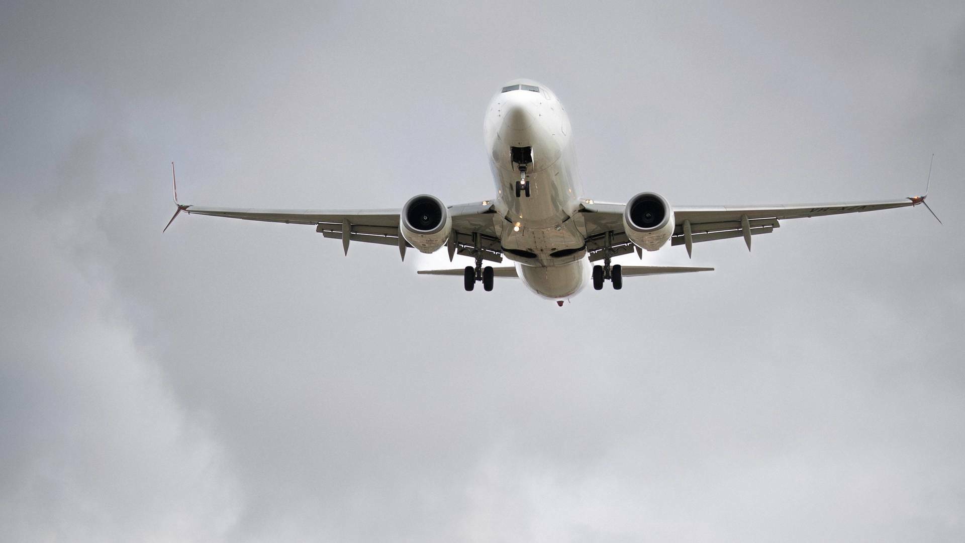 Dentro del aeropuerto...: Más y más grande
