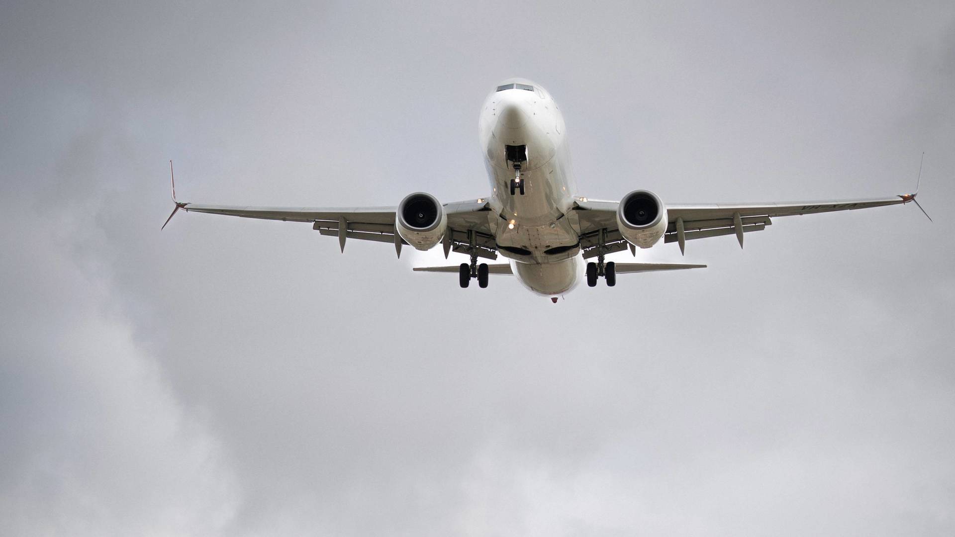 Dentro del aeropuerto...: Detección y devoción