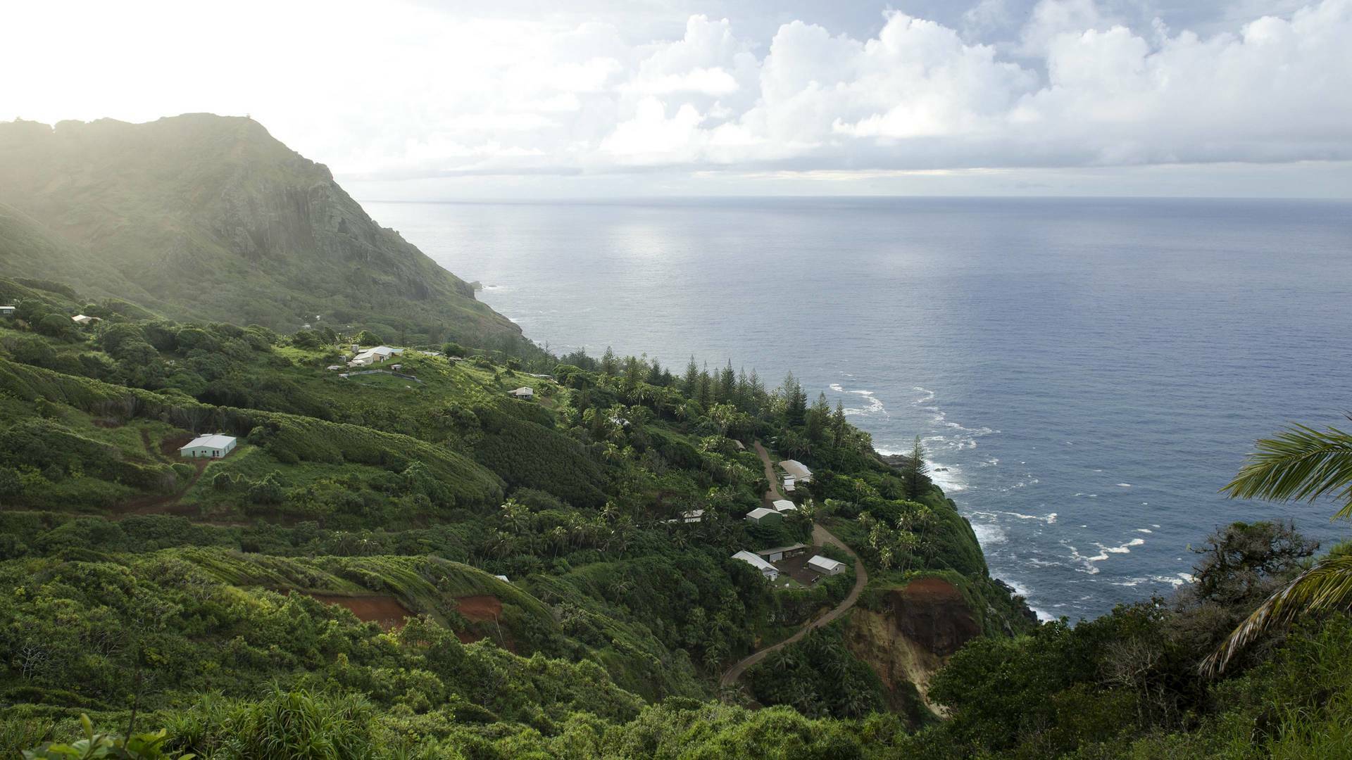 Los tiburones de las islas Pitcairn