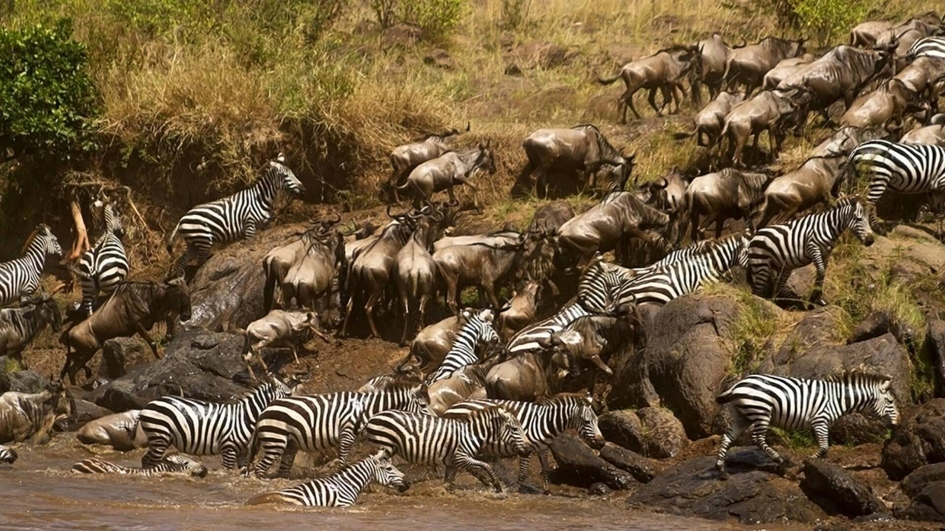 El río más sangriento de África