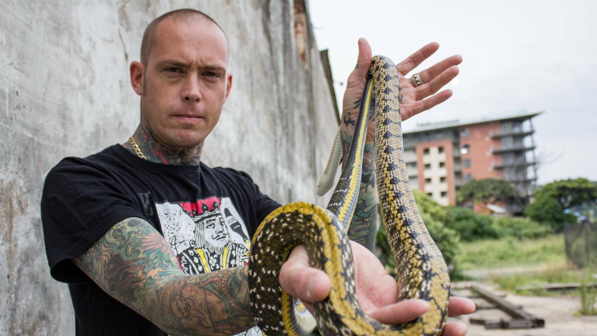 Serpientes en la ciudad: Una cobra en la cocina