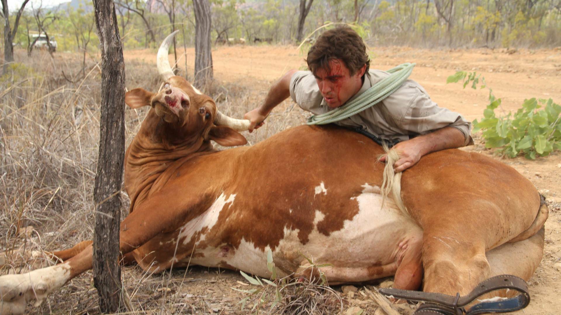 Un vaquero australiano: Un cocodrilo en el jardín