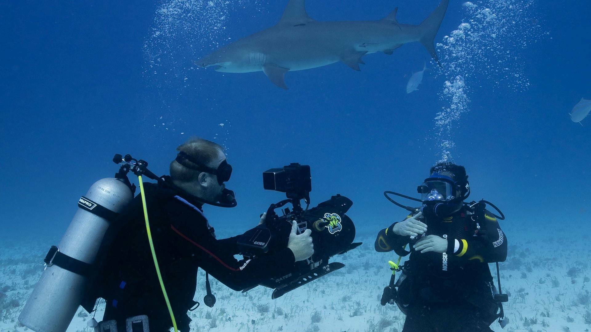 Tiburones vs. Ross Edgley