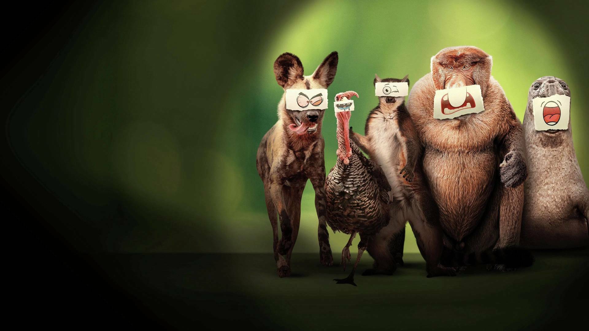 Perdedores y salvajes: Sospechosos inhabituales