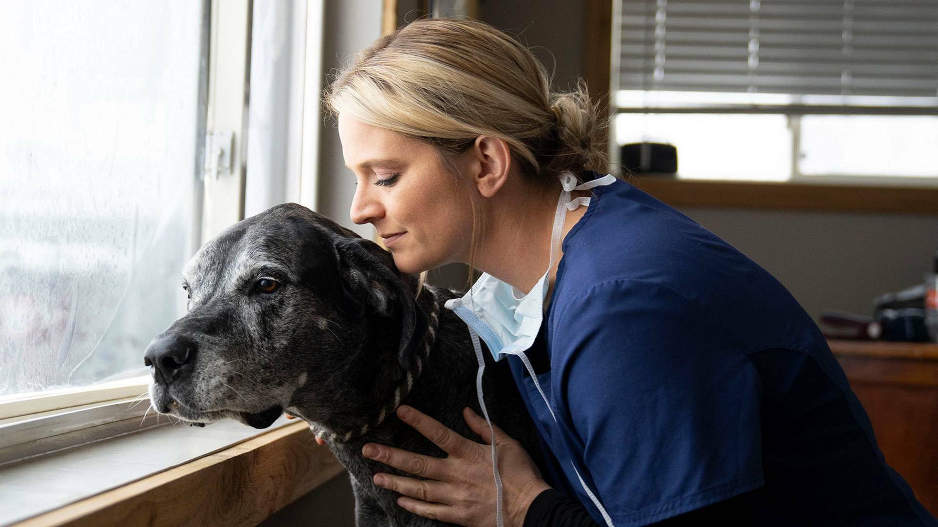 Veterinarios de Nebraska: Cena y cine con la vaca
