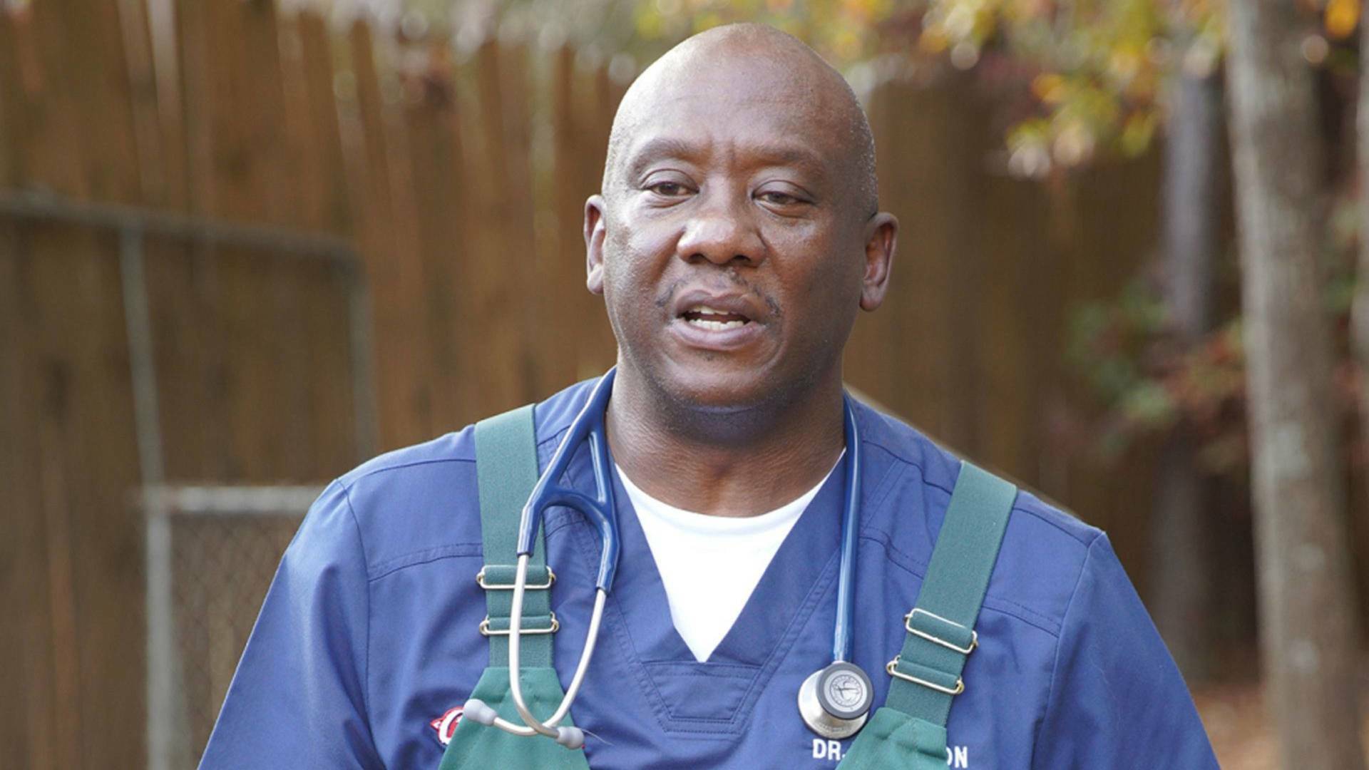 Critter fixers:...: Lagartijas saltarinas