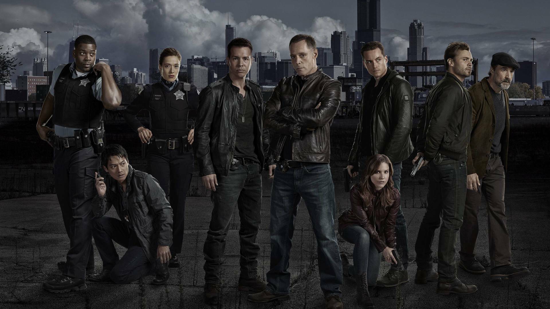 Chicago P.D. (T1): Ep.9 Testigo presencial