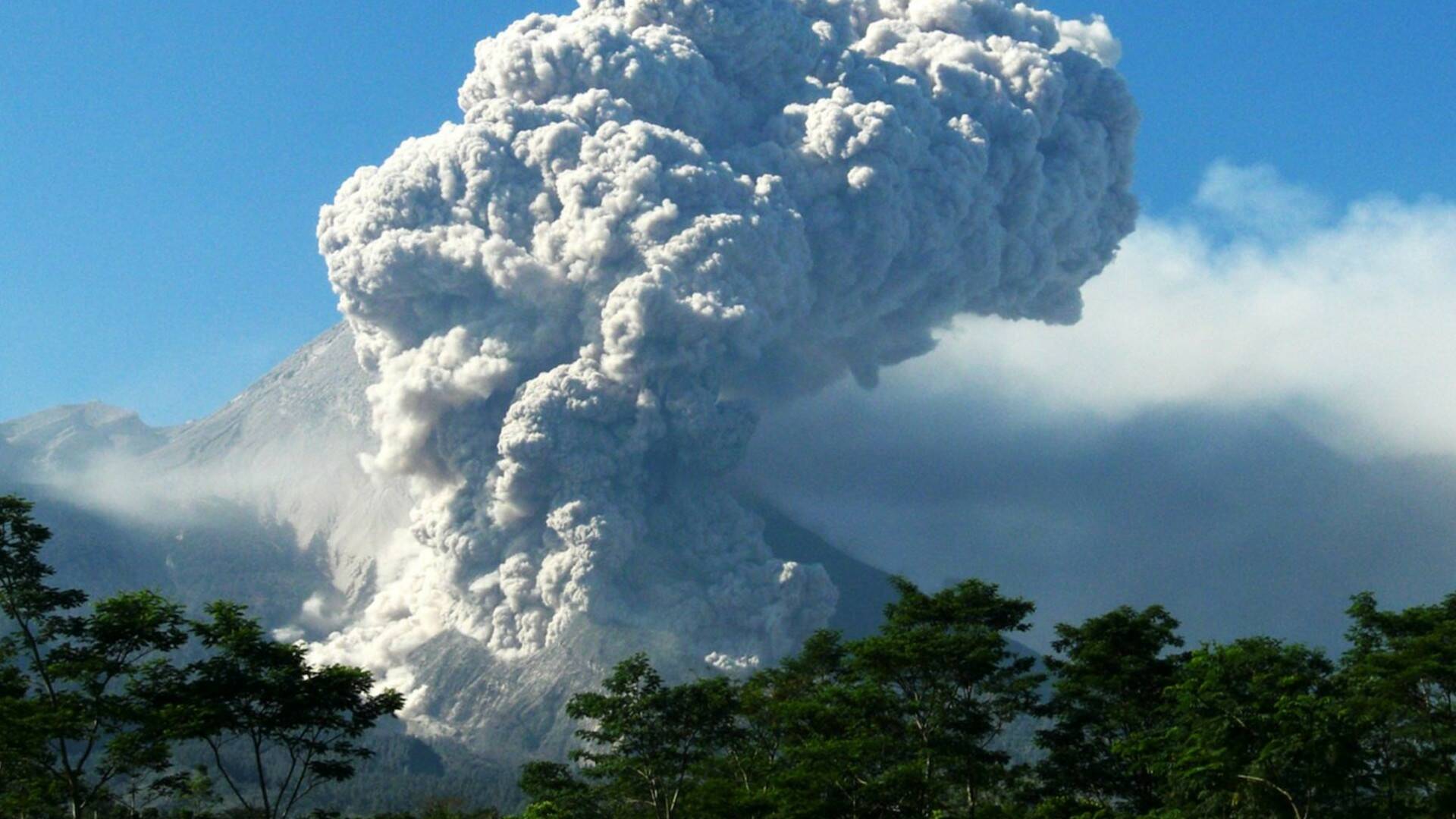 Volcán: destrucción y...: Un presente fértil