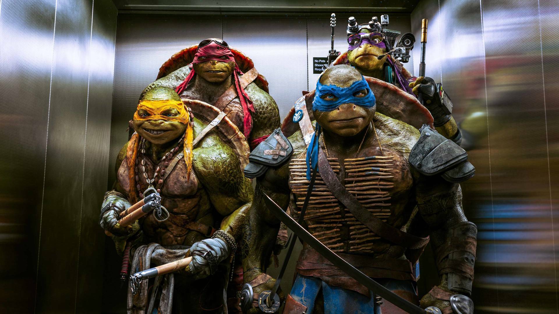 Ninja Turtles