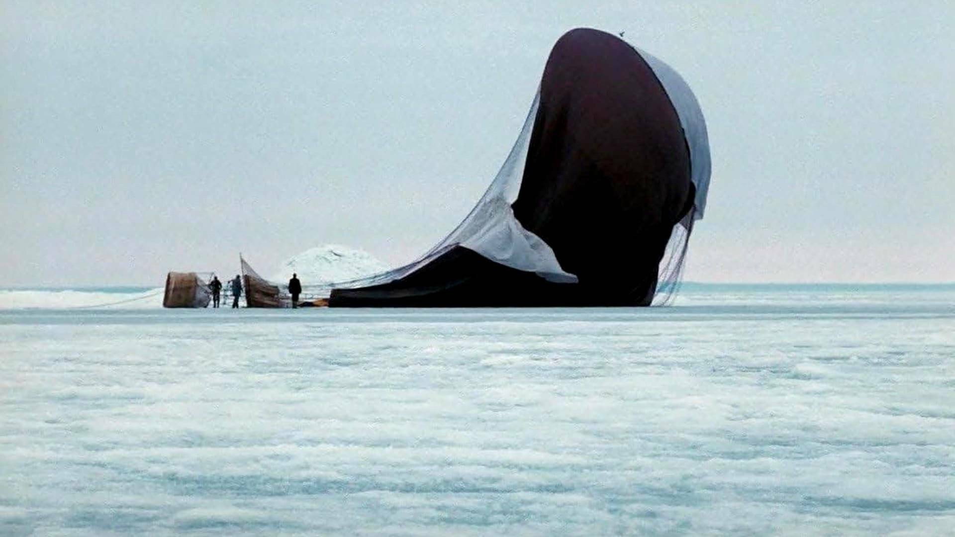 El vuelo del águila