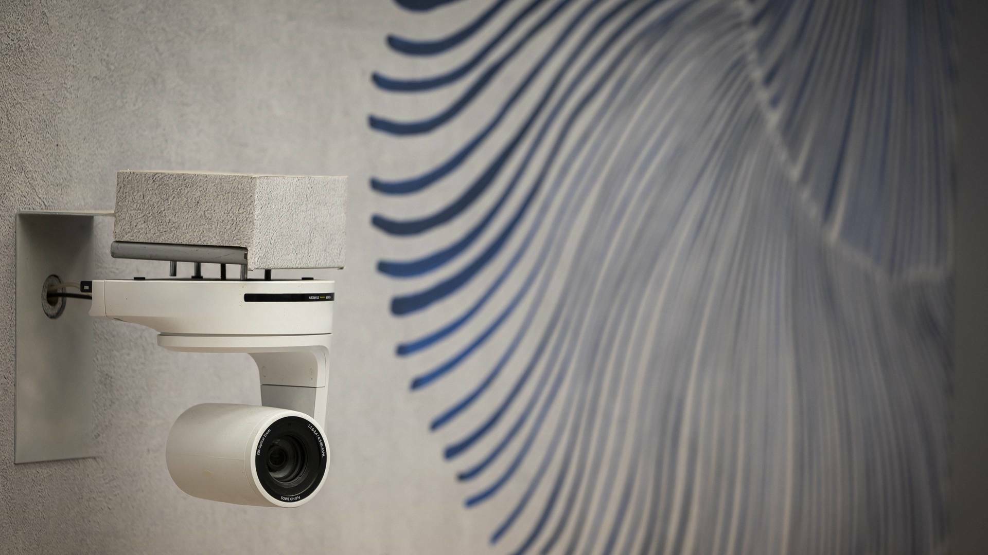 Gran Hermano: La casa en directo