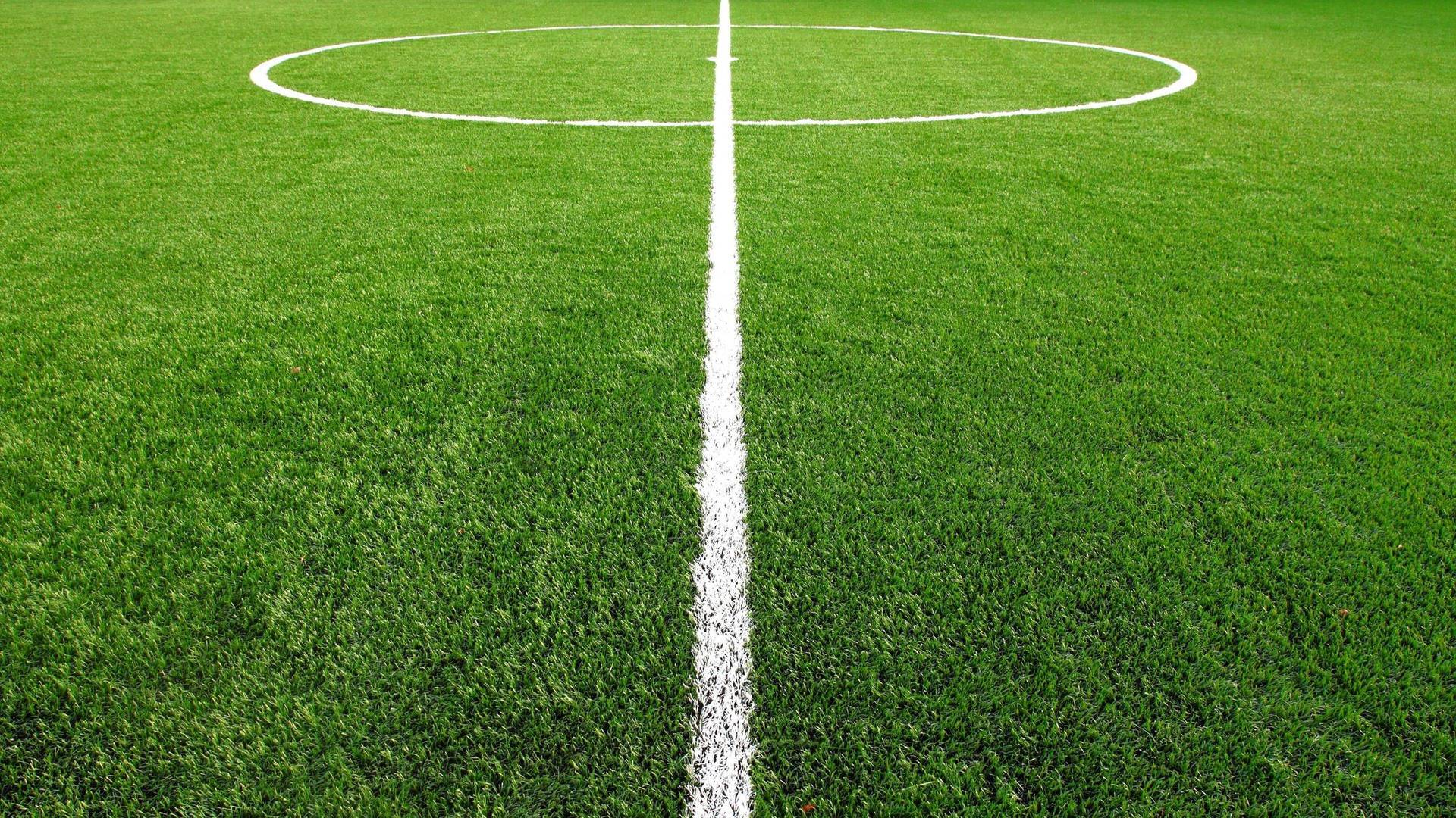 Copa del Rey (85/86)