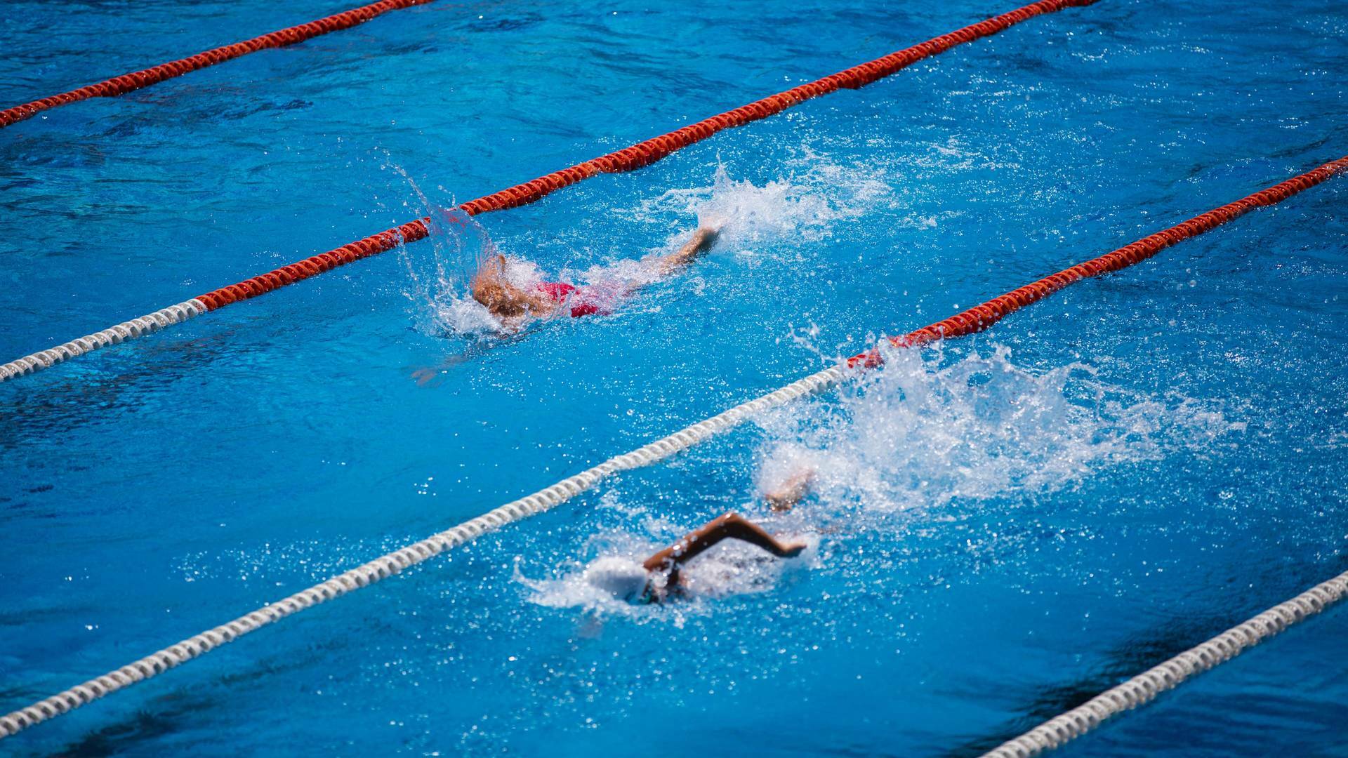 Reportajes TDP - Natación