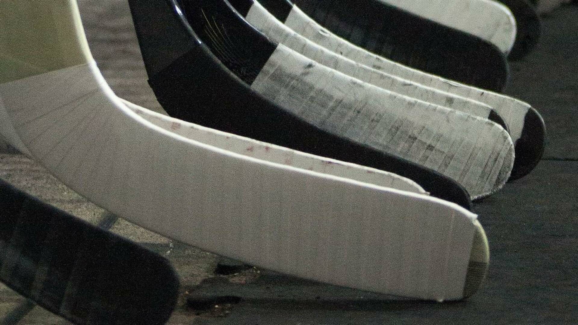 Europeo de hockey patines F