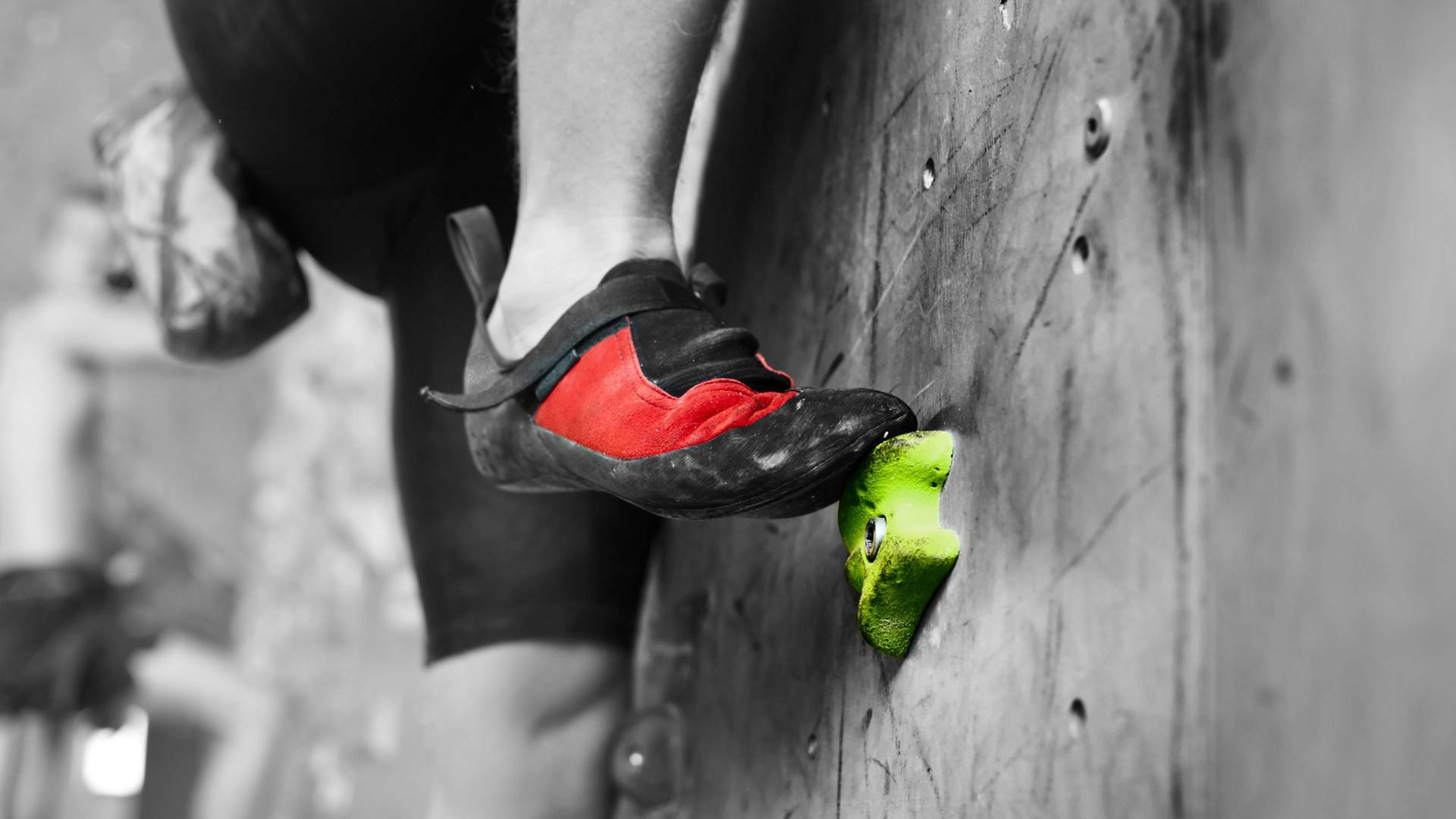 Copa de España de Escalada