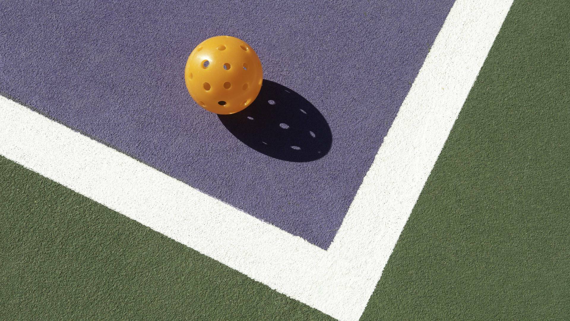 Pickle Pro Tour Barcelona Open (2025)