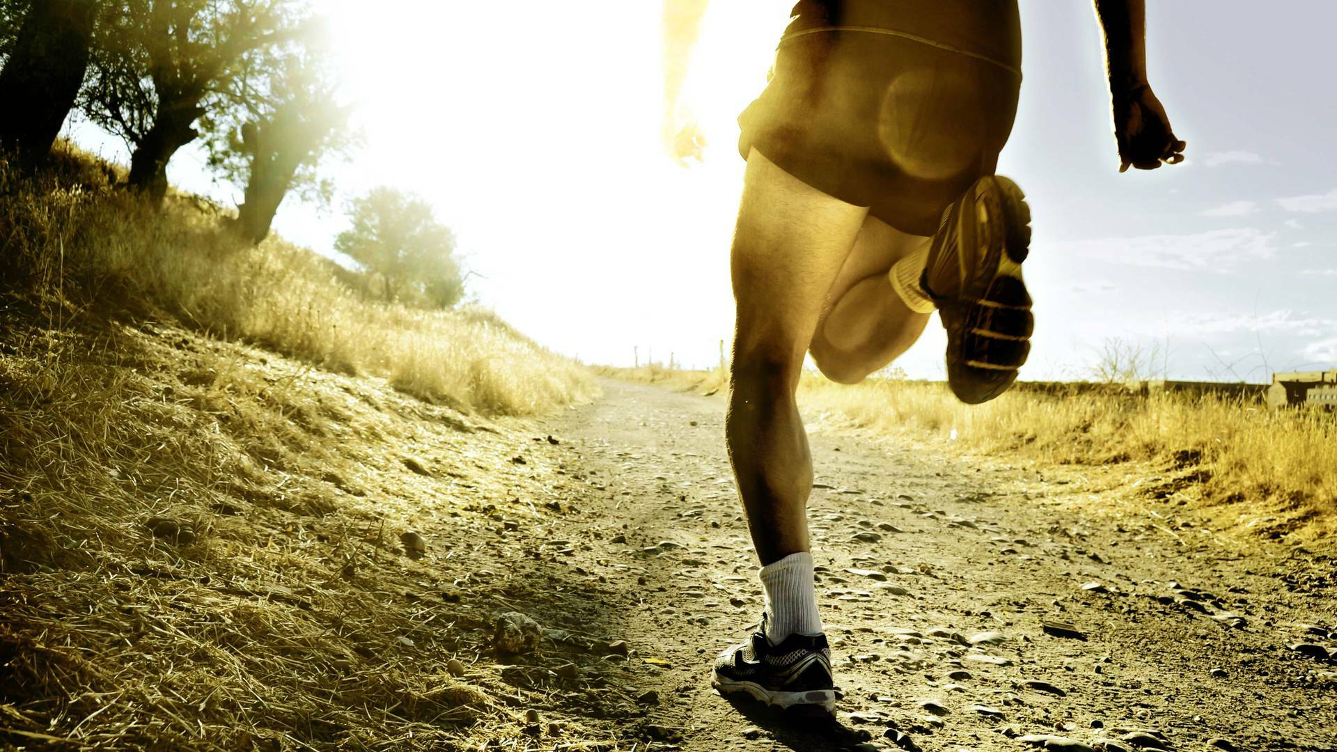 Cross... (2025): Carrera F