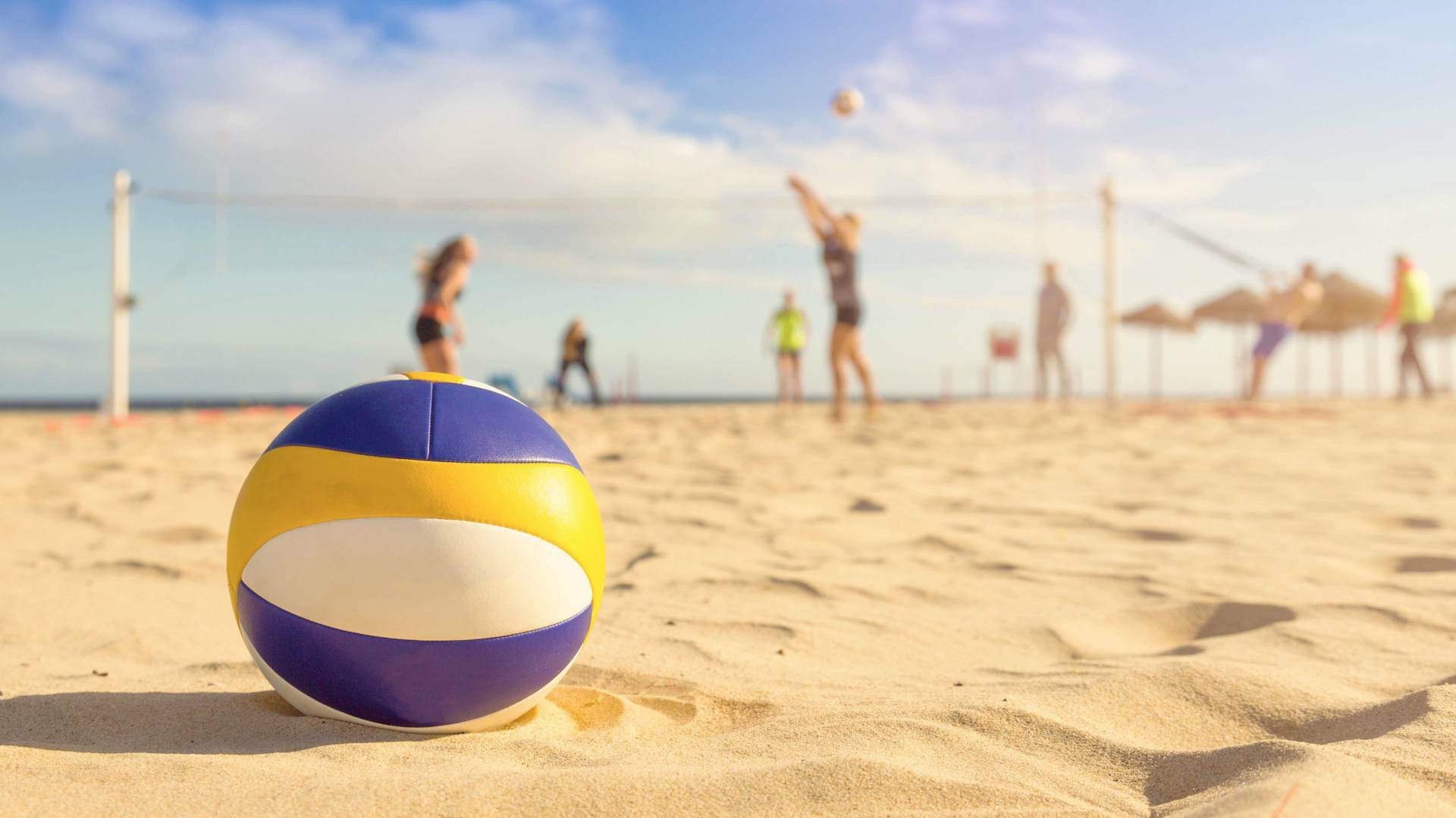Beach Volleyball: World Beach Pro Tour