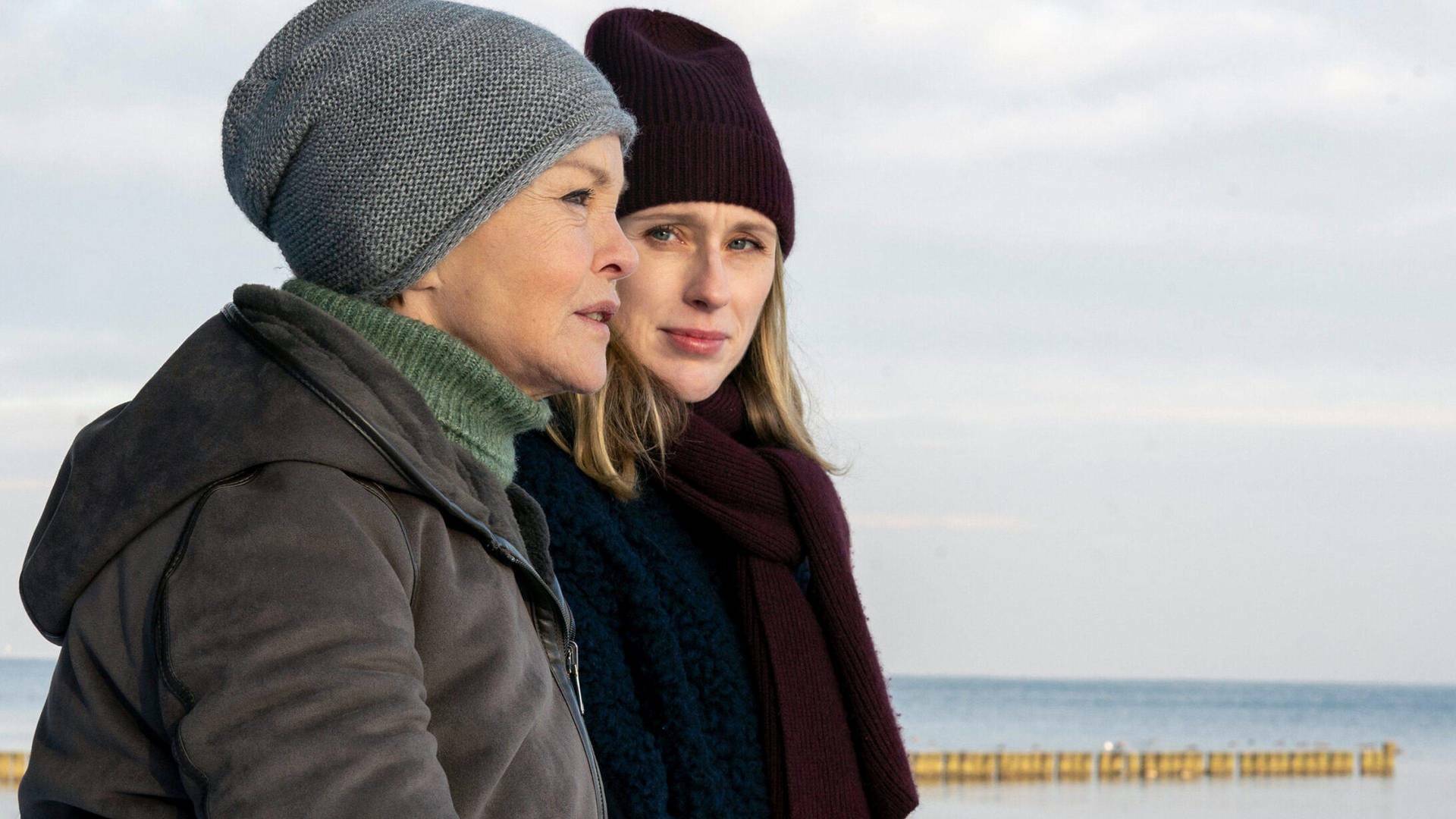 Crims al Bàltic: El cementiri de cadells