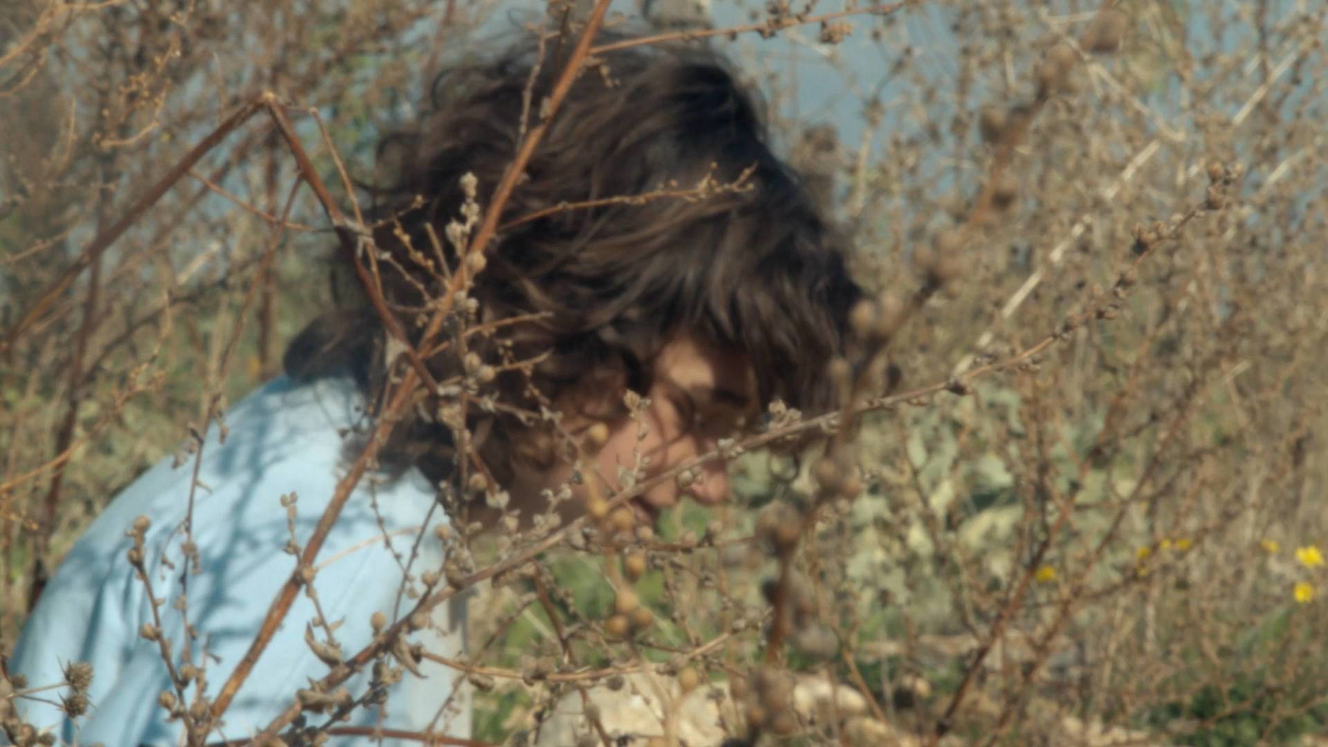 Pénélope mon amour