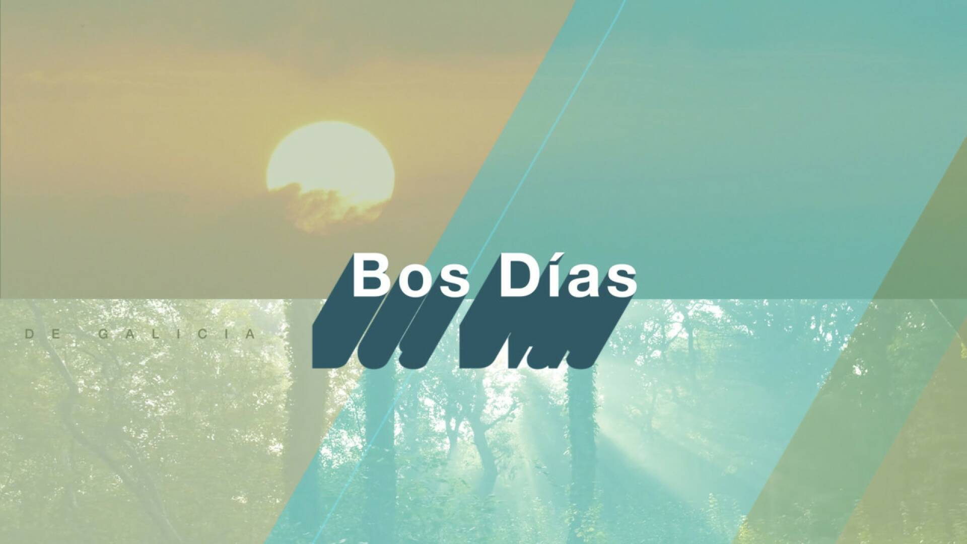 Bos Días