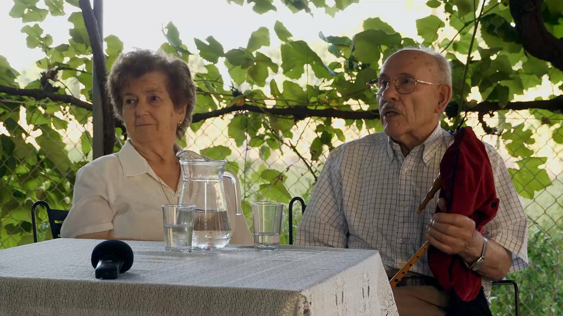Palmira Lará