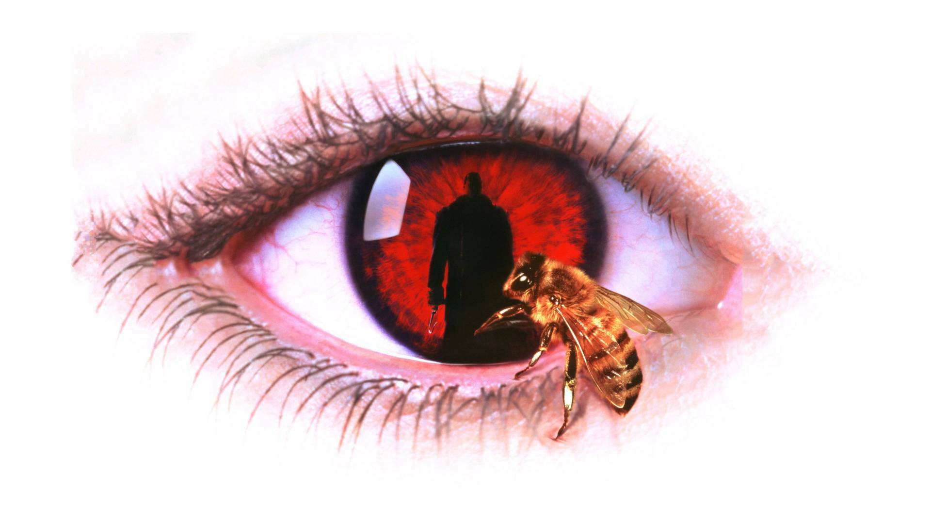 Candyman. El dominio de la mente